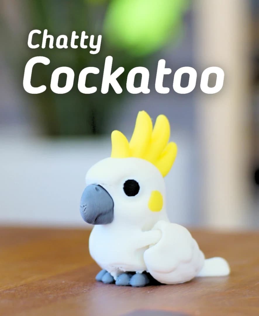 Chatty Cockatoo