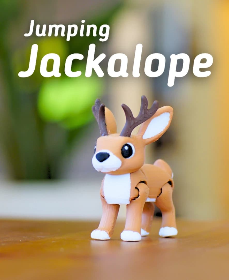 Jumping Jackalope
