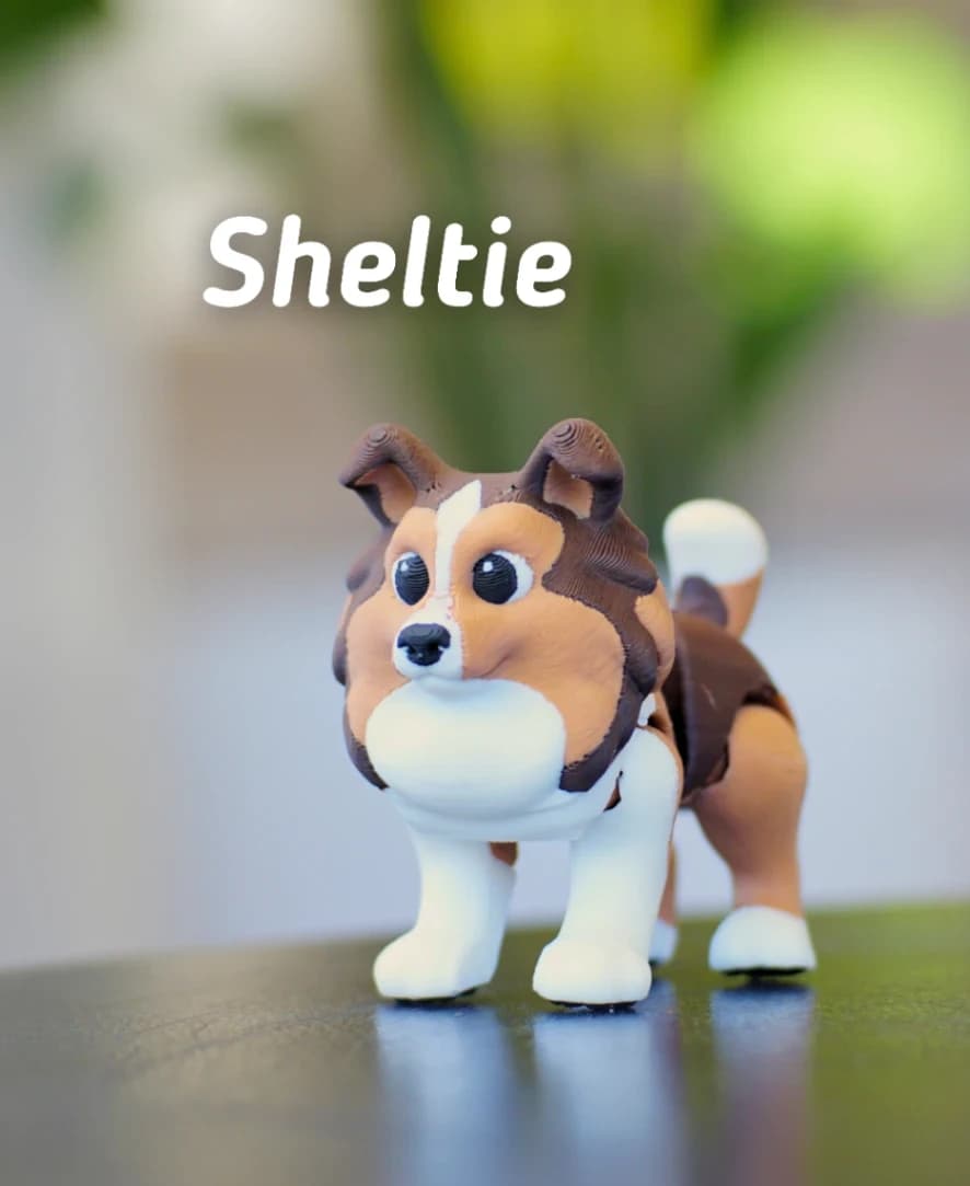 Sheltie