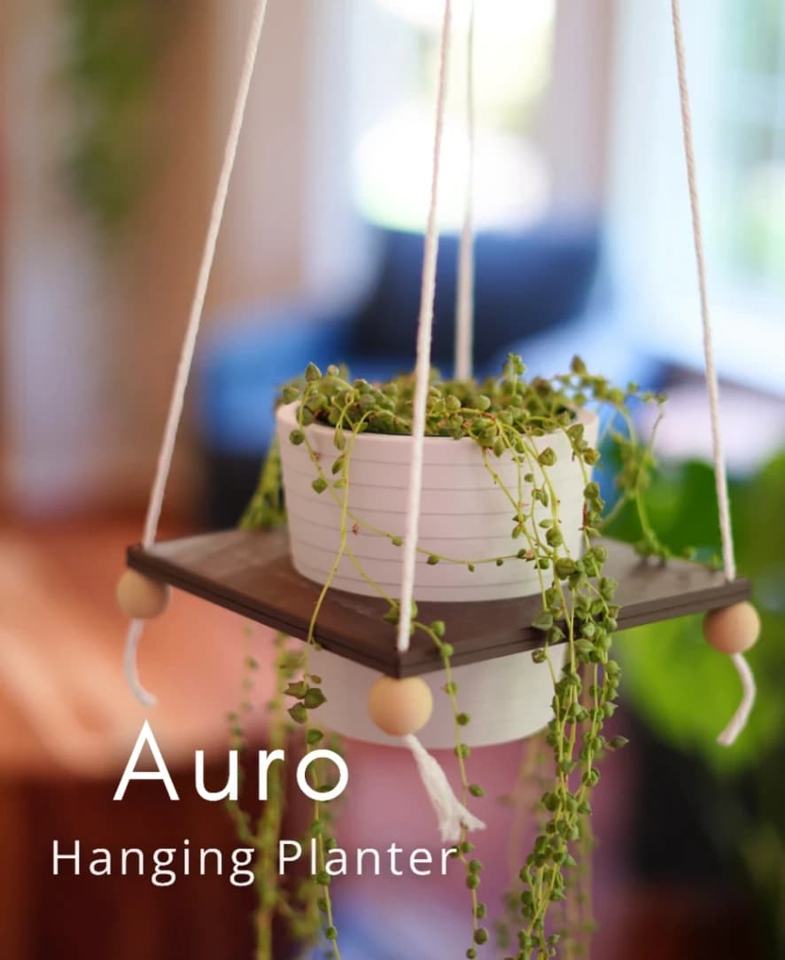 Auro Hanging Planter