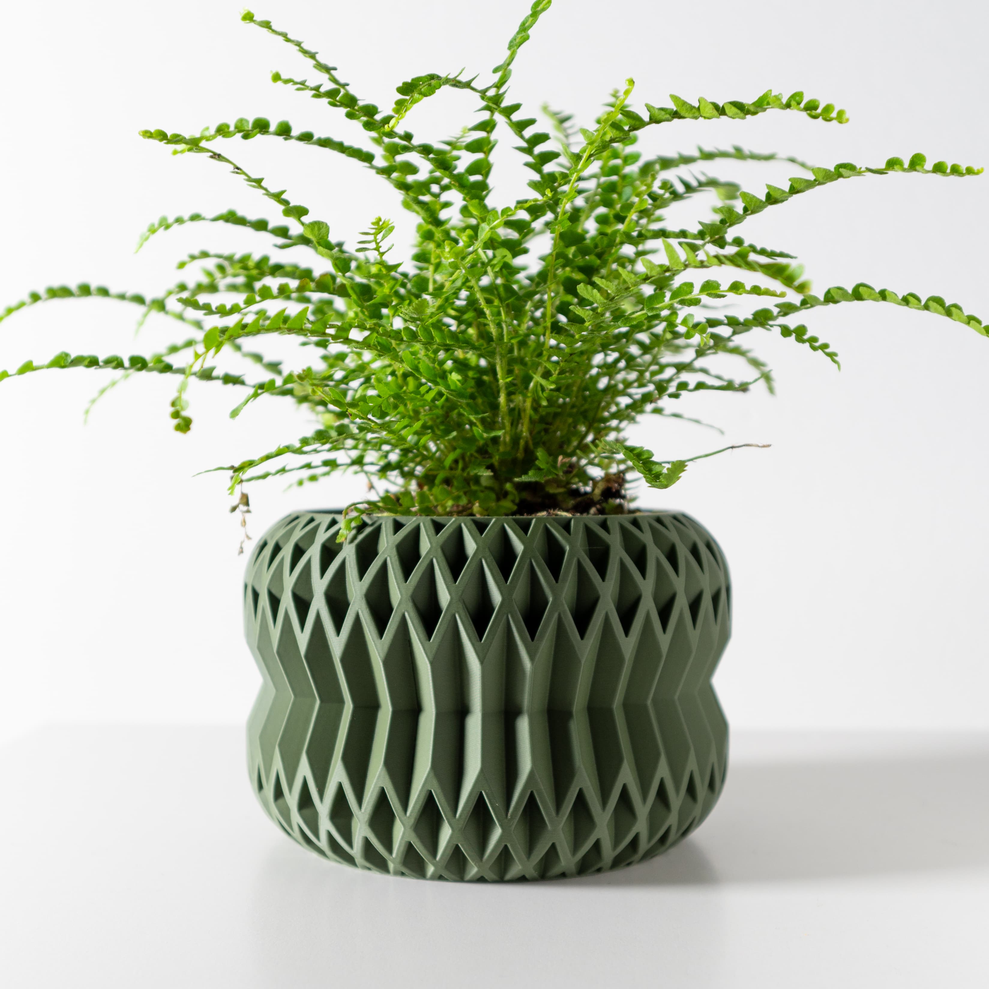 The Rydan Planter Pot With Drainage Tray & Stand