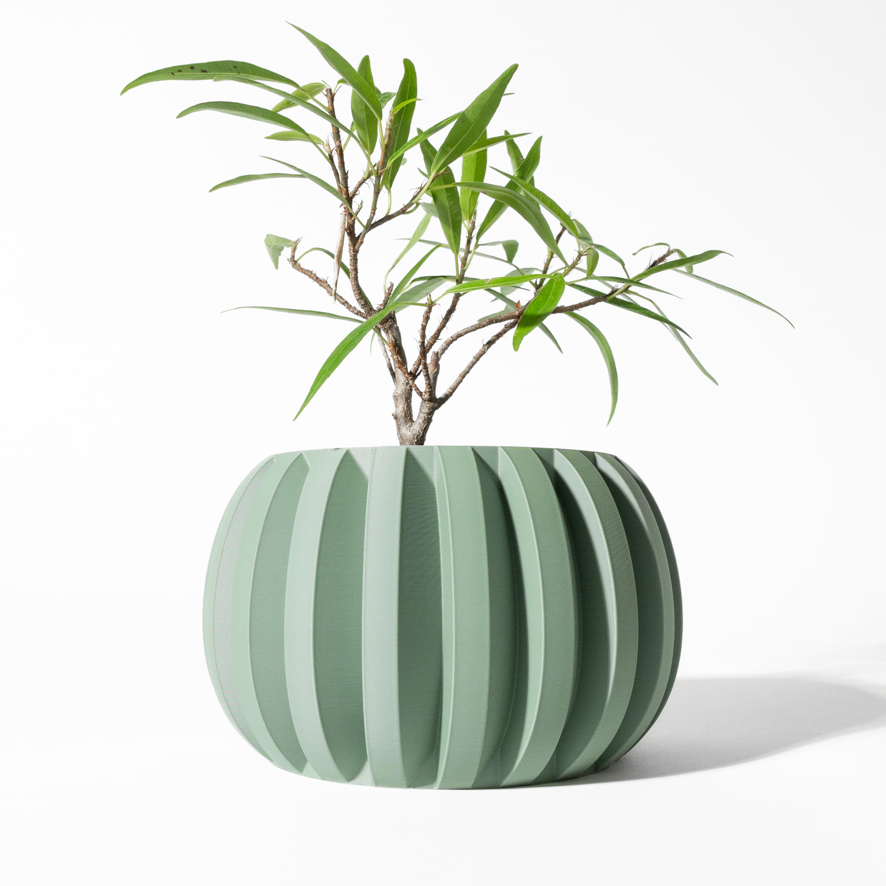 The Jone Planter Pot With Drainage Tray & Stand