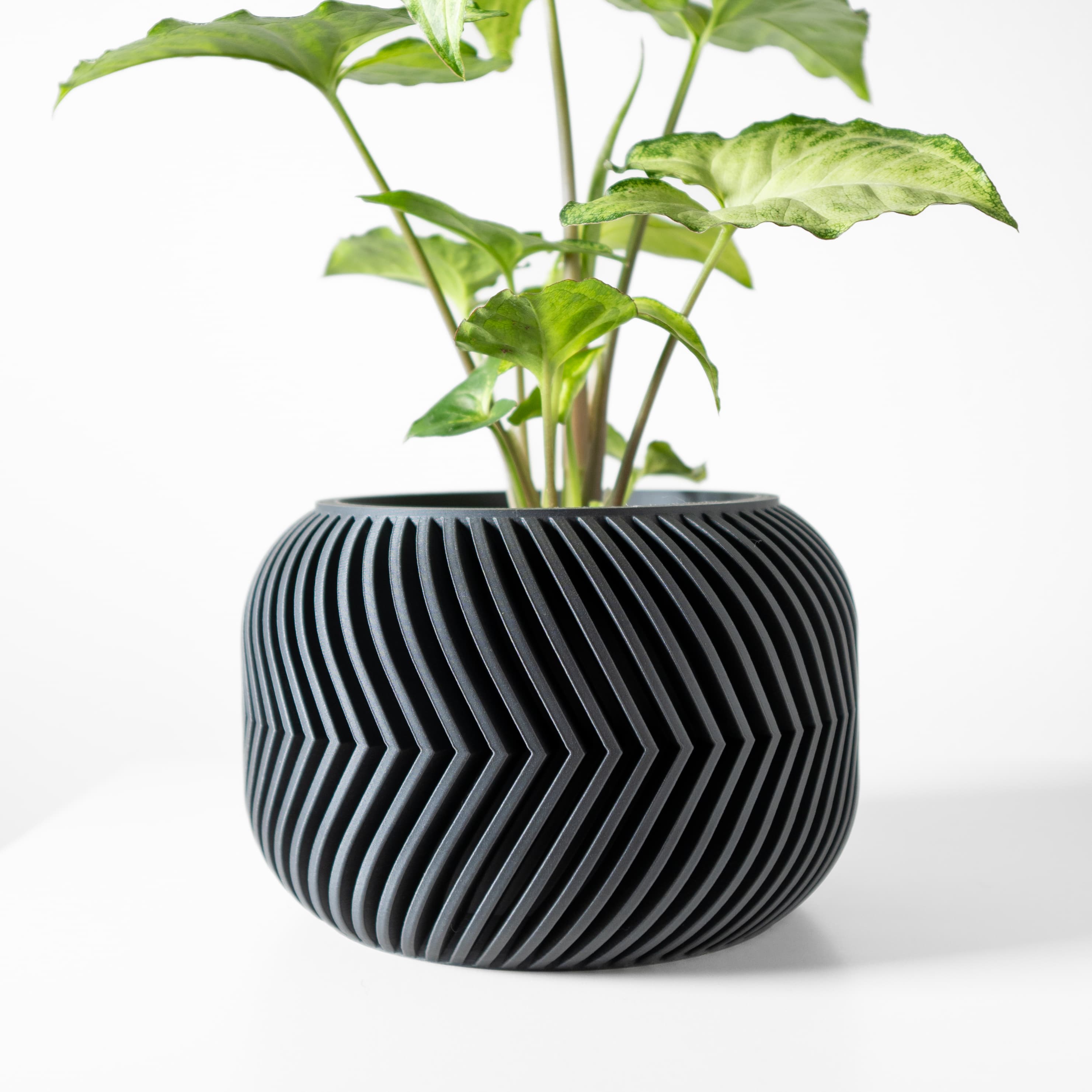 The Ervon Planter Pot With Drainage Tray & Stand