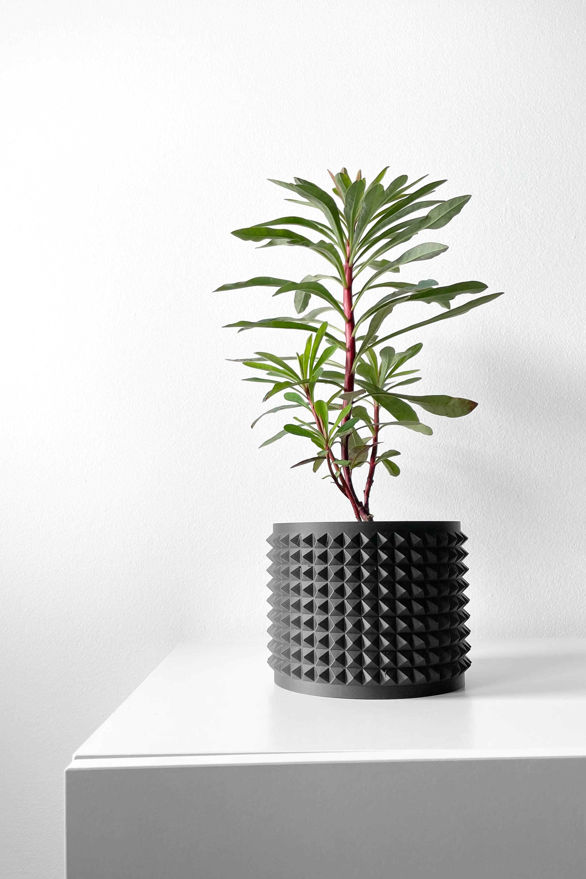 The Anver Planter Pot With Drainage Tray & Stand Included