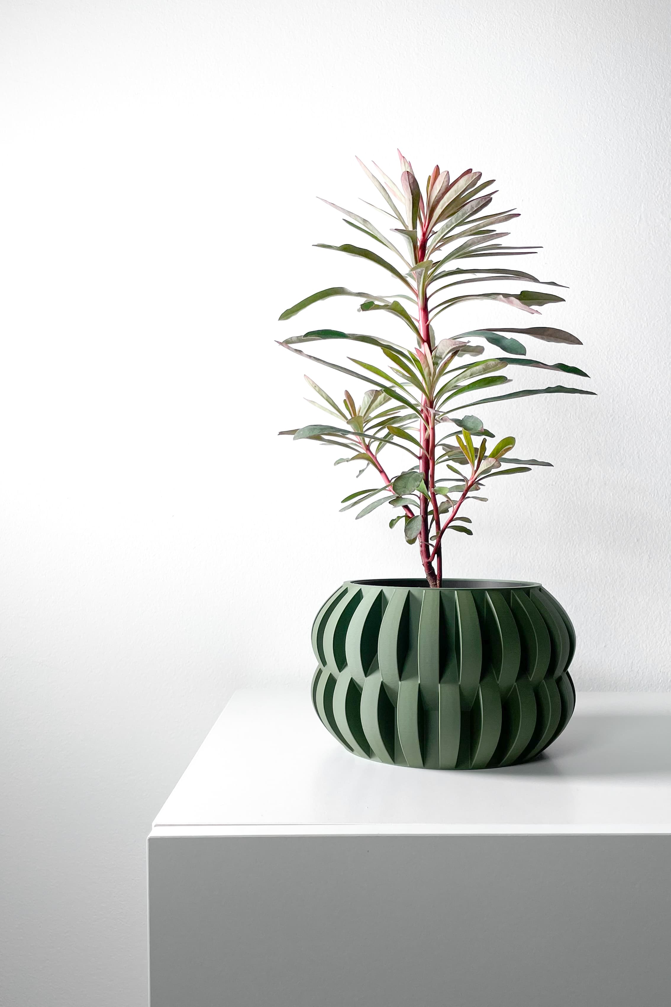 The Povan Planter Pot With Drainage Tray & Stand Included
