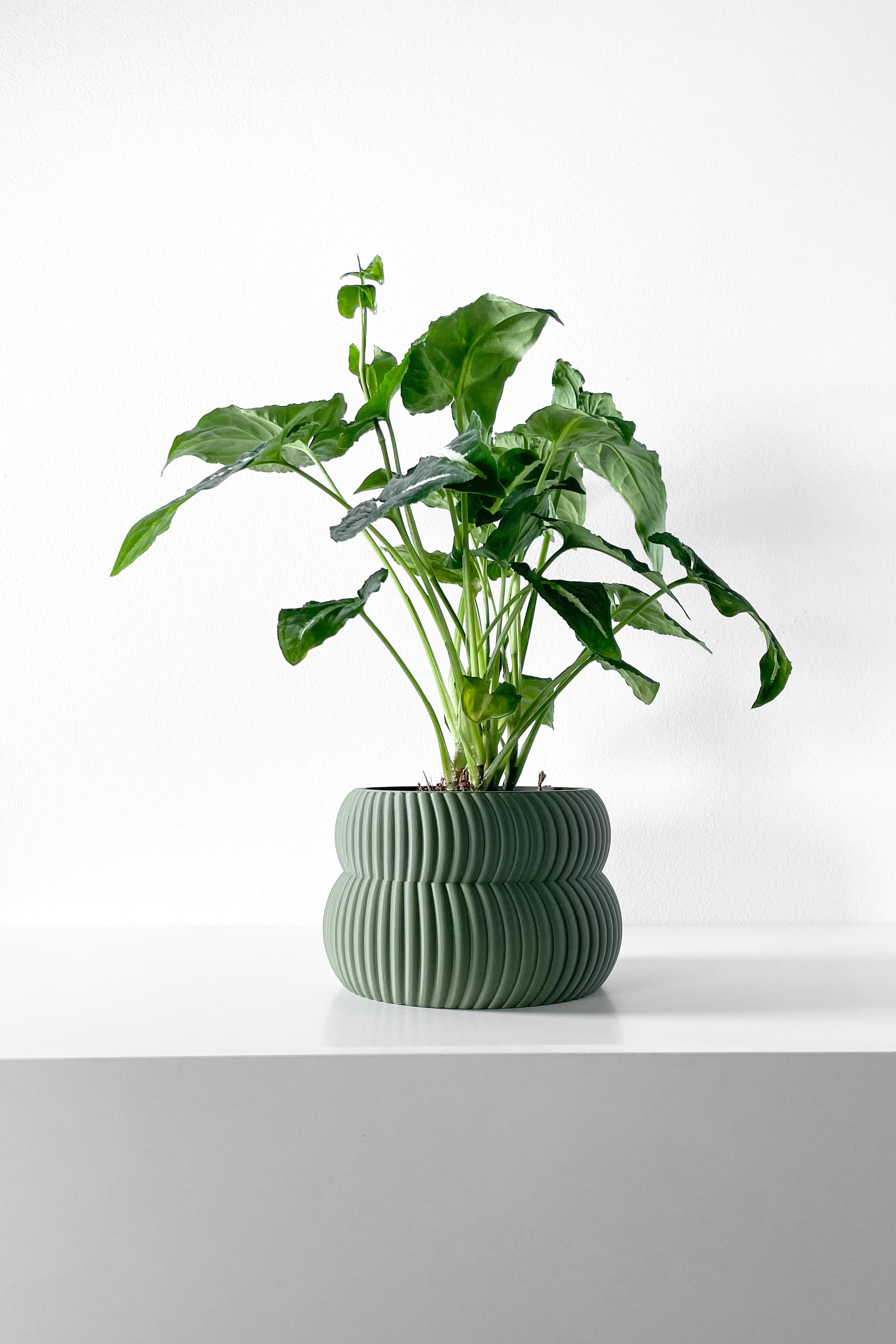 The Quarn Planter Pot With Drainage Tray & Stand Included