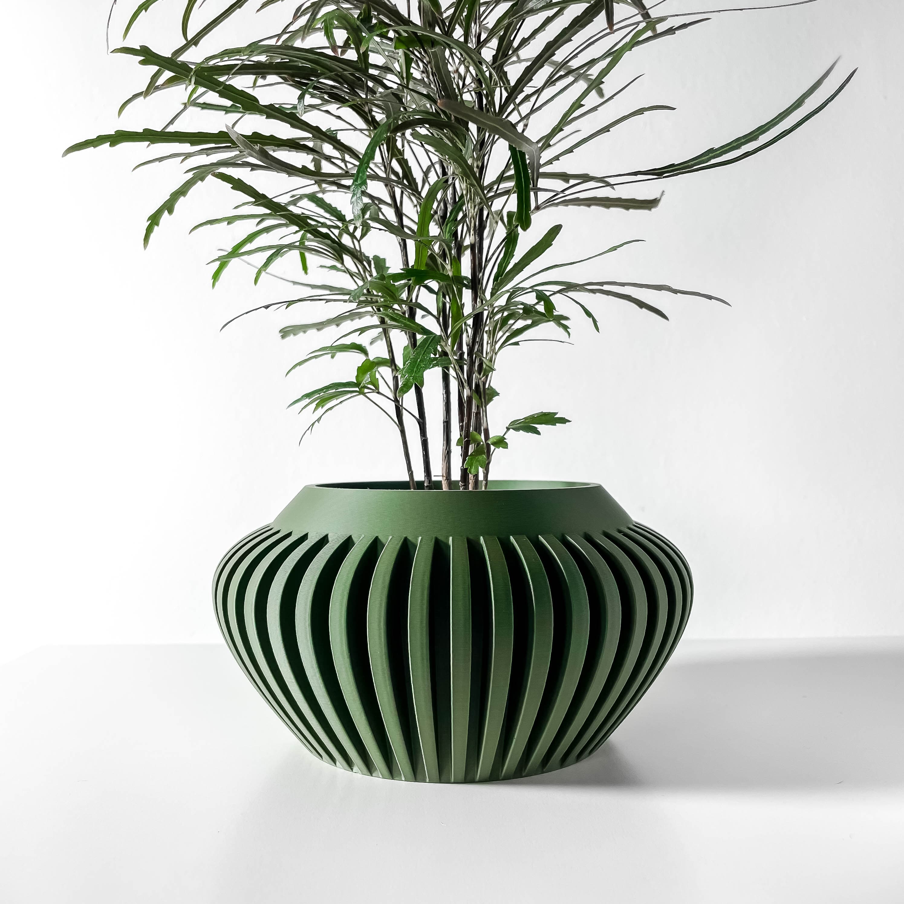 The Caios Planter Pot With Drainage Tray & Stand