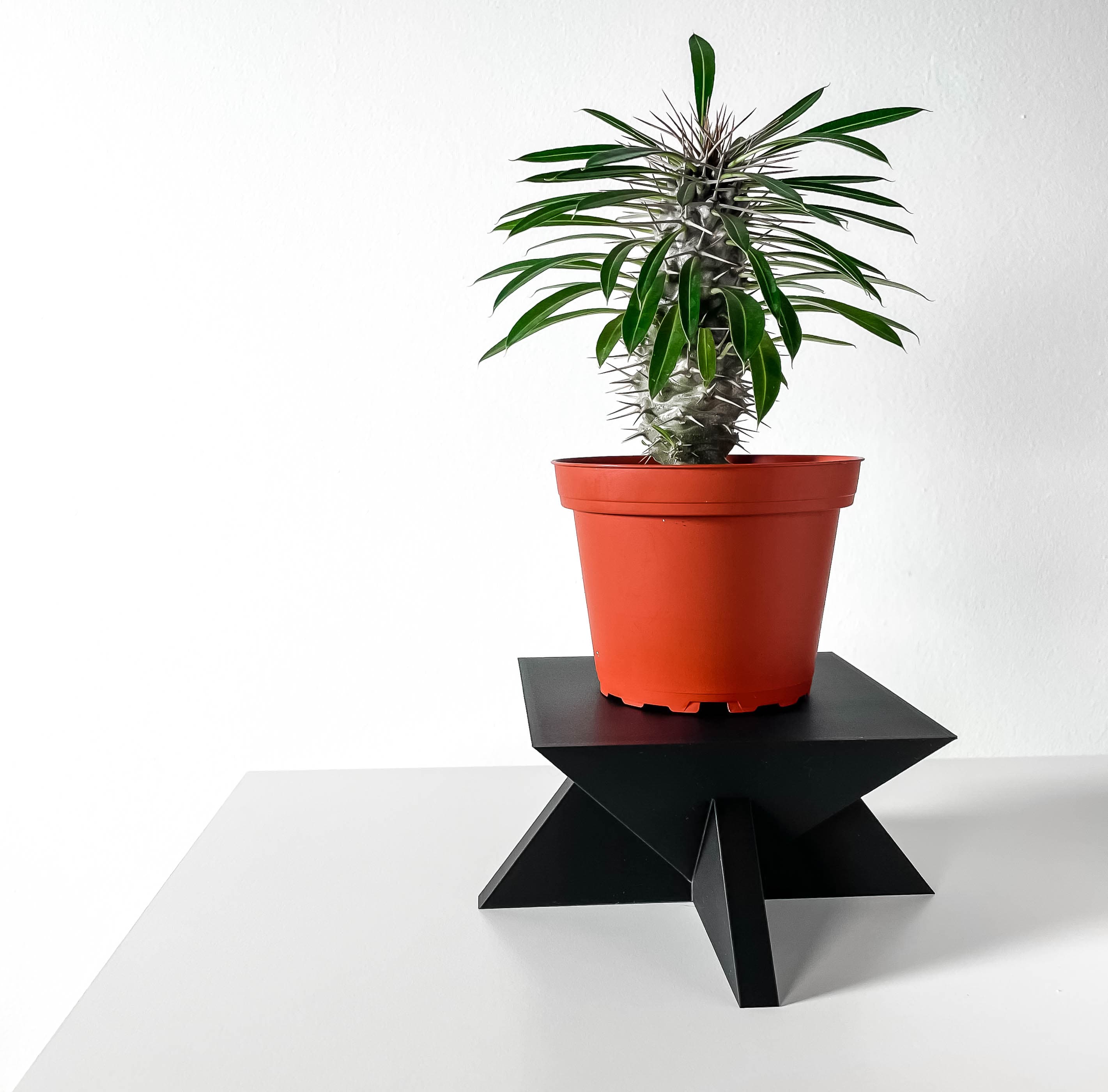 The Jones Display Stand For Planters And Decor