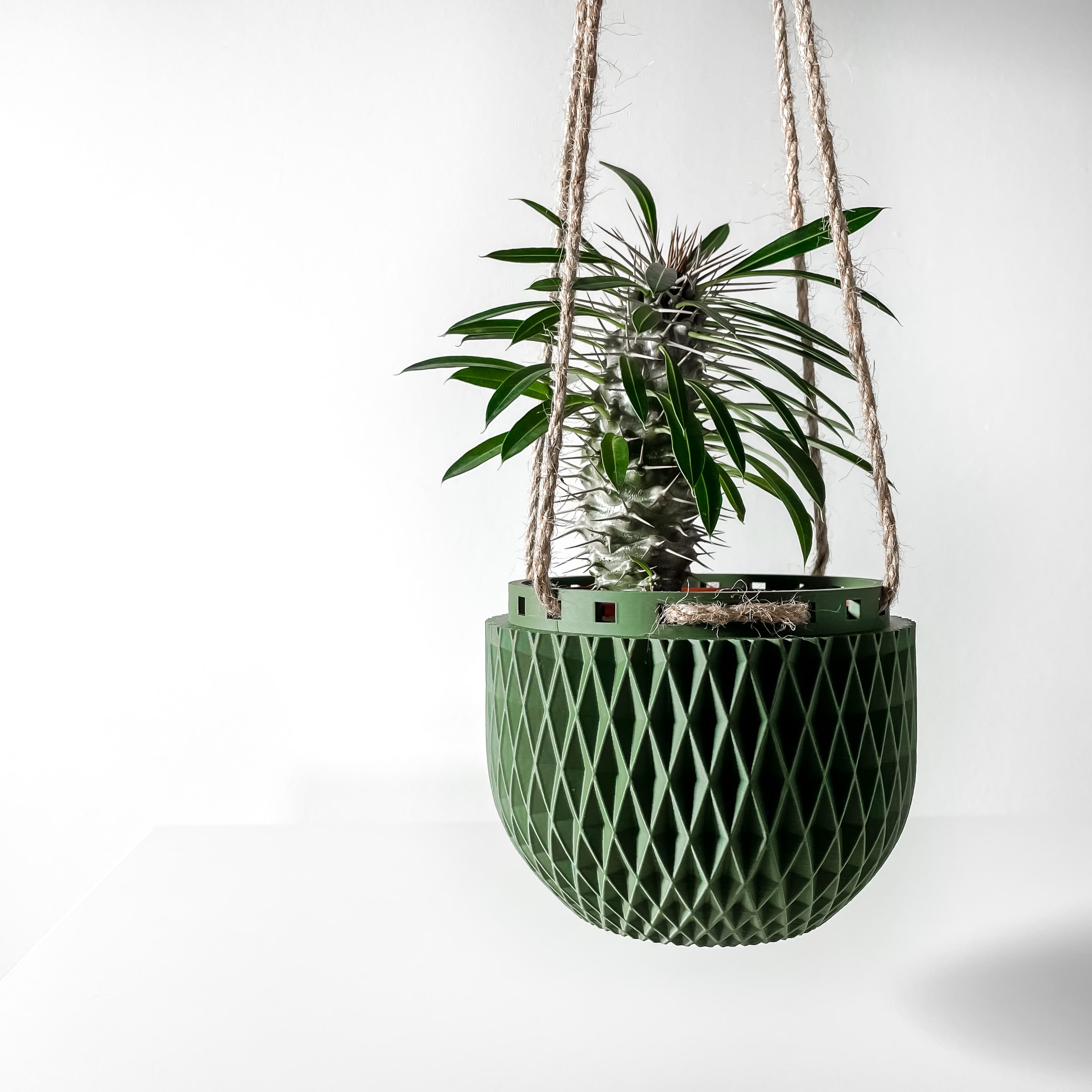 The Dex Hanging Planter Pot