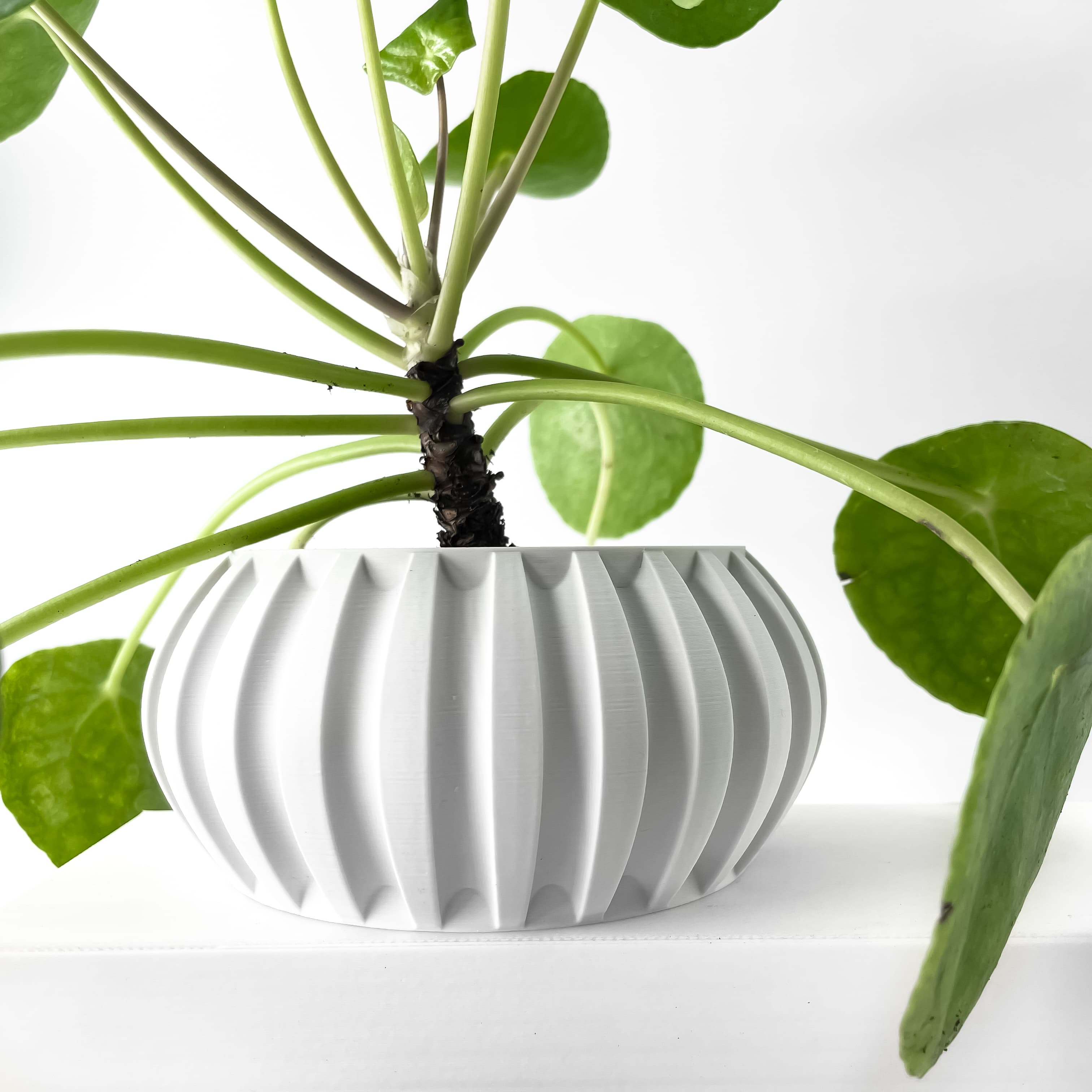 The Alden Planter Pot With Drainage Tray & Stand Included