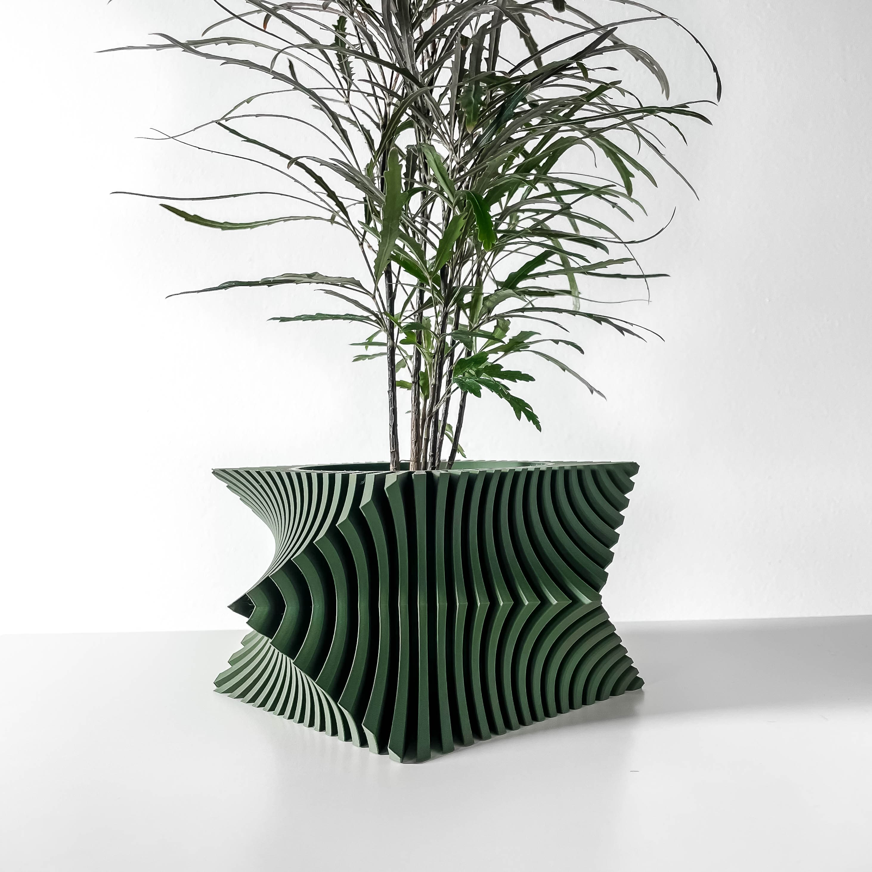 The Anio Wacky Planter Pot With Drainage Tray & Stand