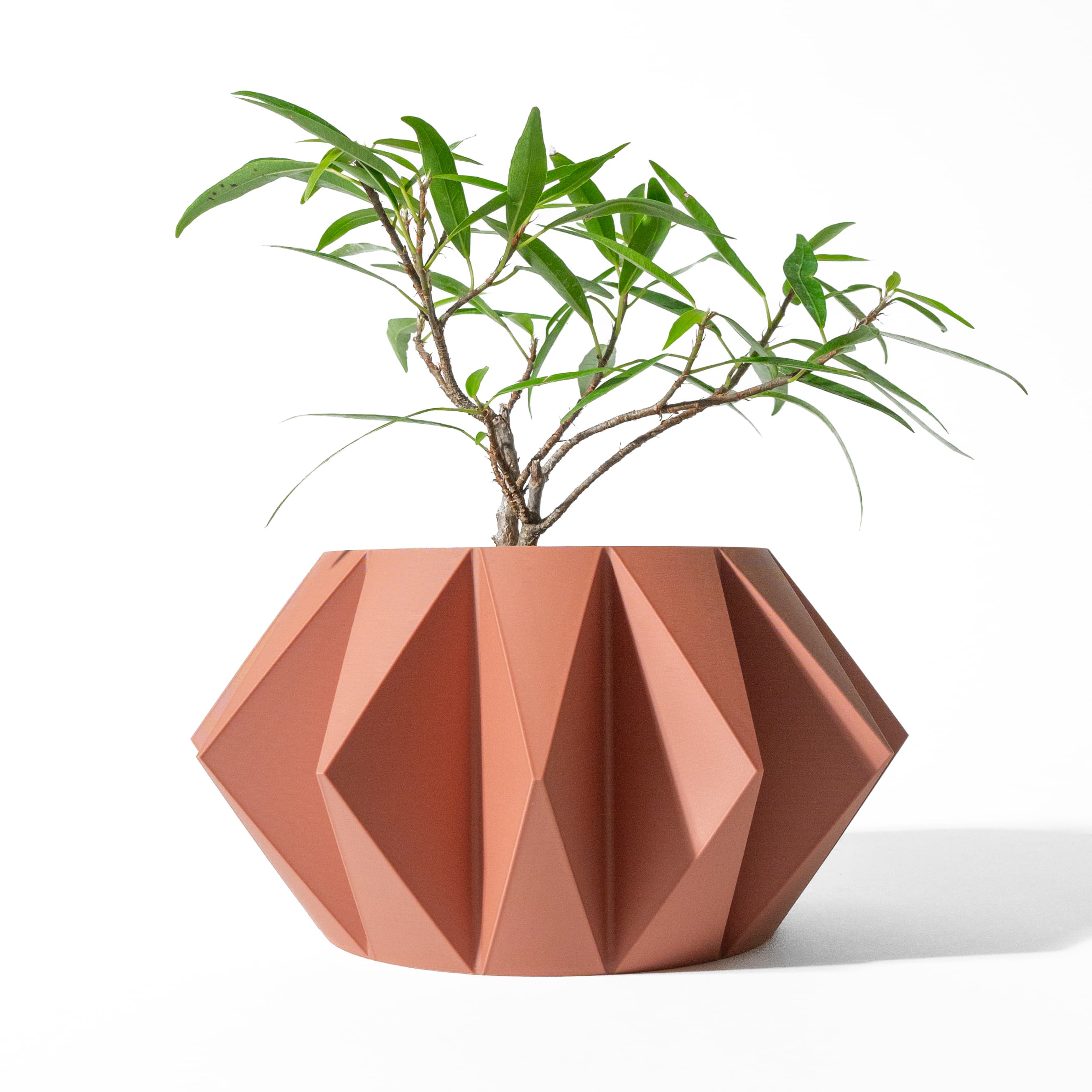 The Koni Planter Pot With Drainage Tray & Stand