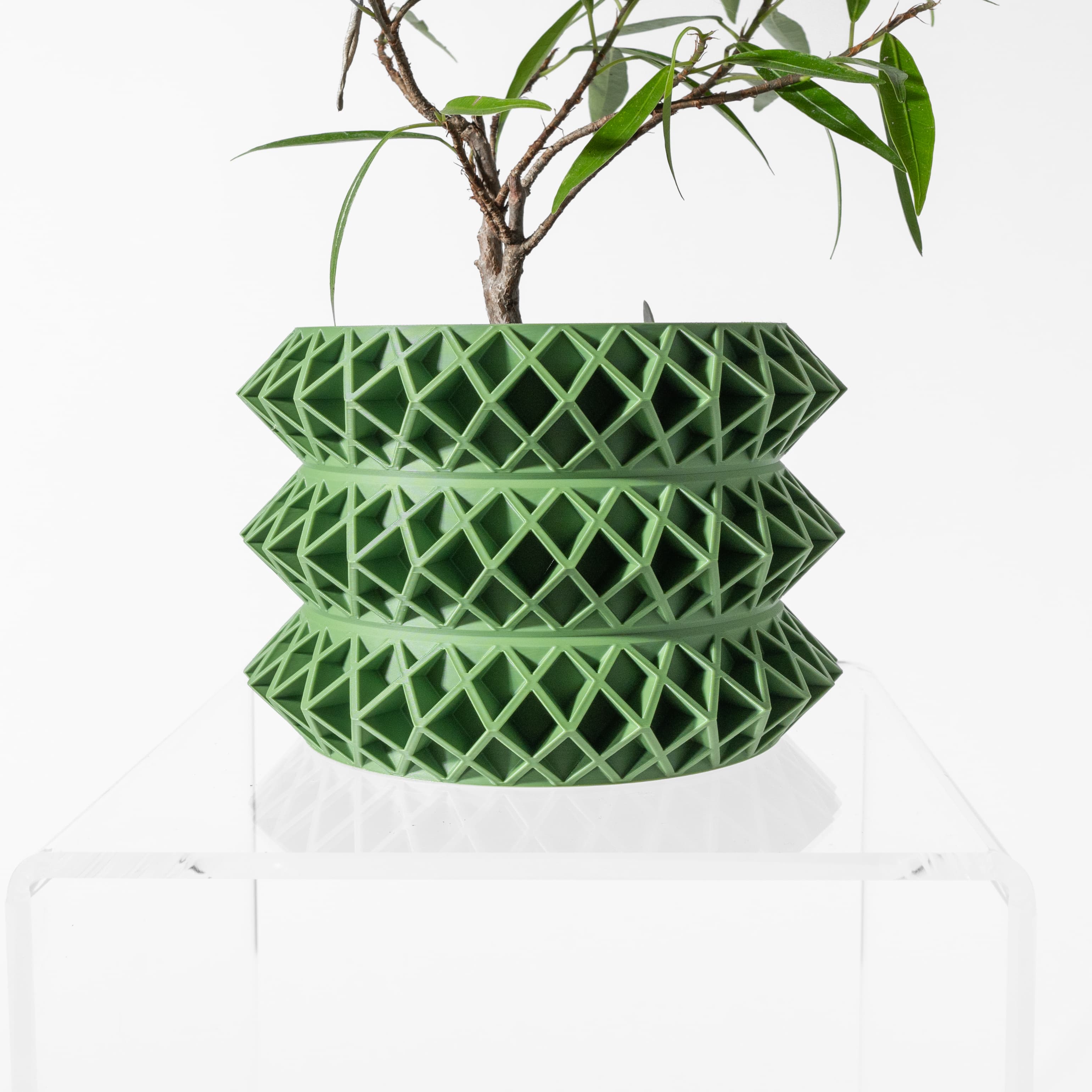 The Tomo Planter Pot With Drainage Tray & Stand