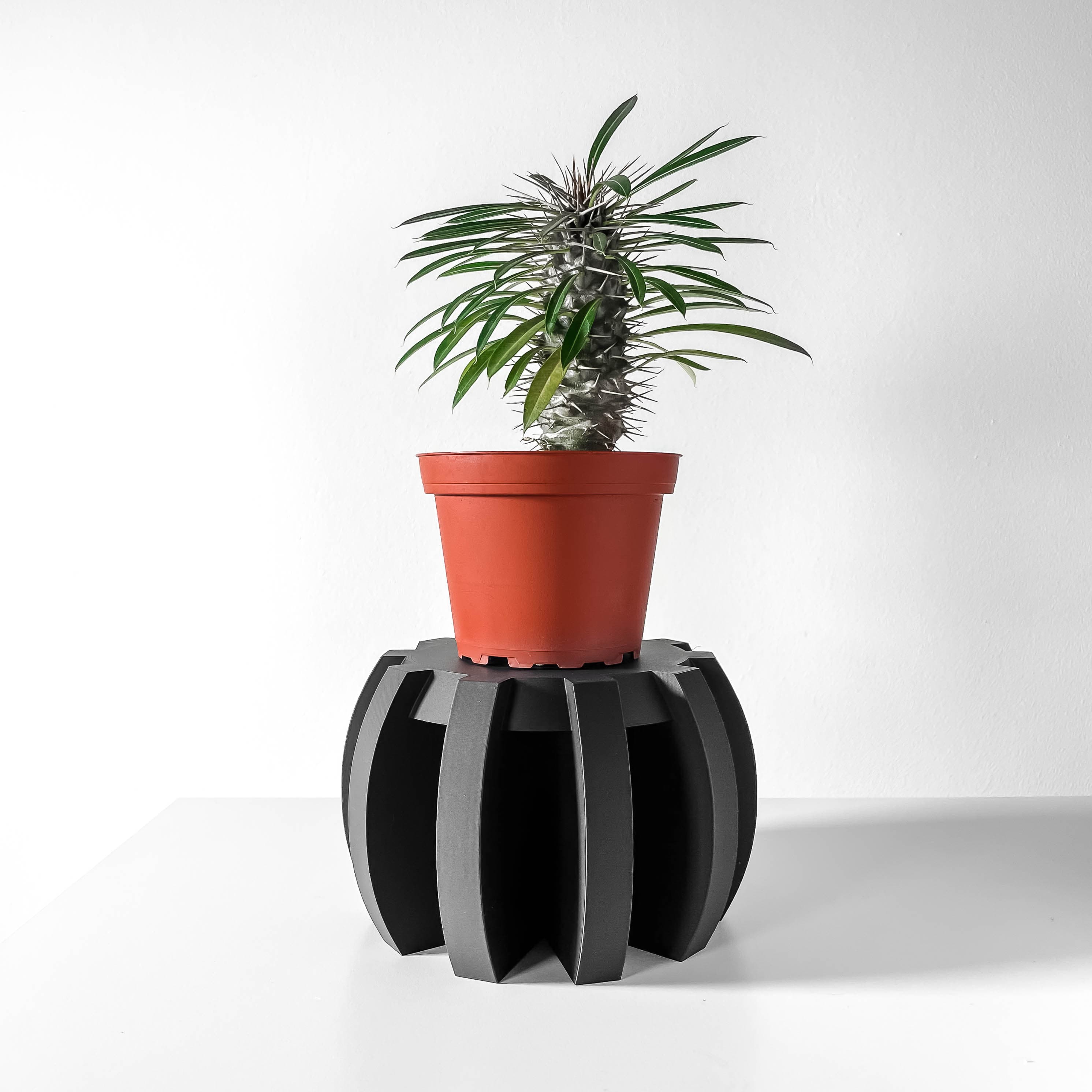 The Miko Display Stand For Plants Or Unique Items