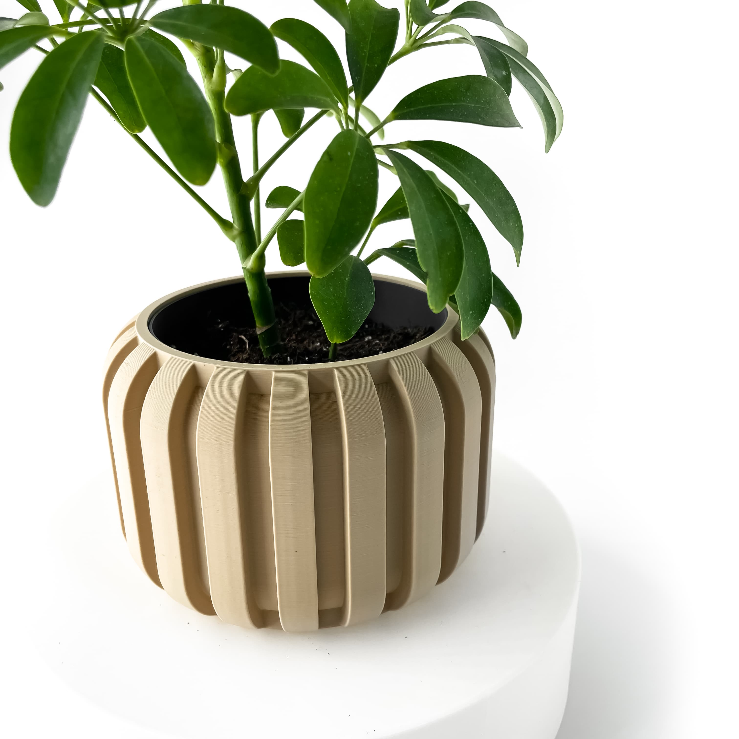 The Panu Planter Pot With Drainage: Tray & Stand Included