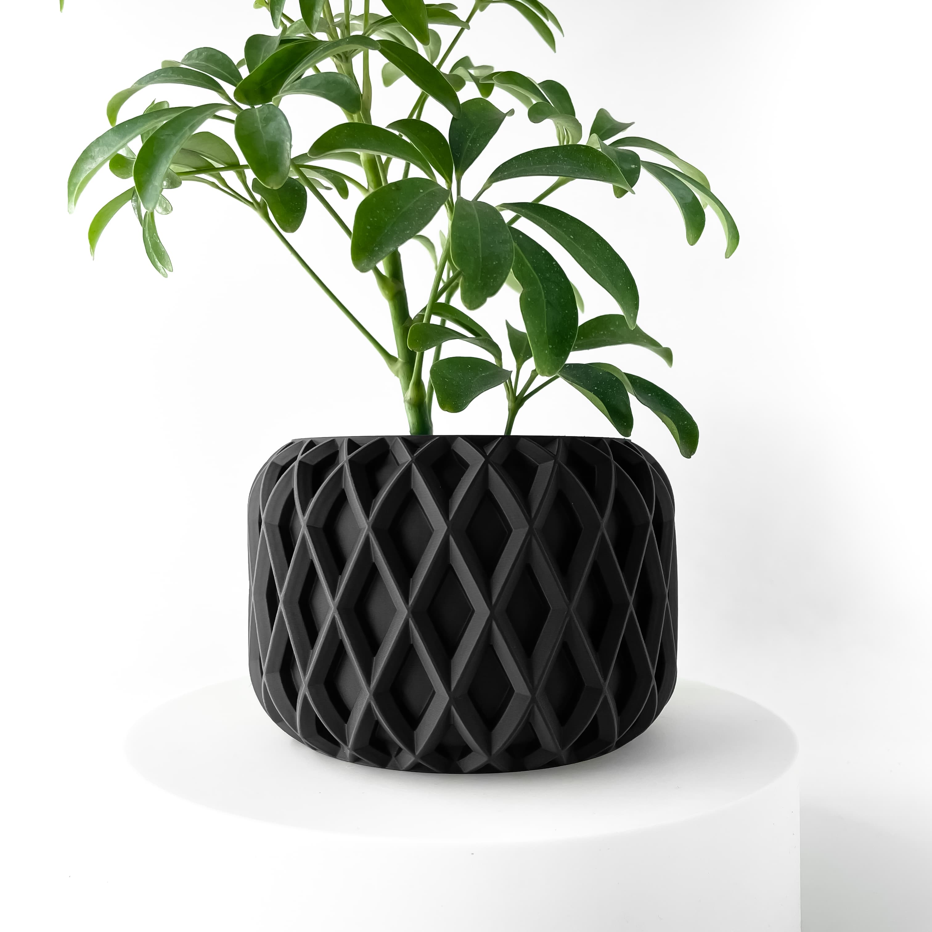 The Kinao Planter Pot With Drainage: Tray & Stand Included