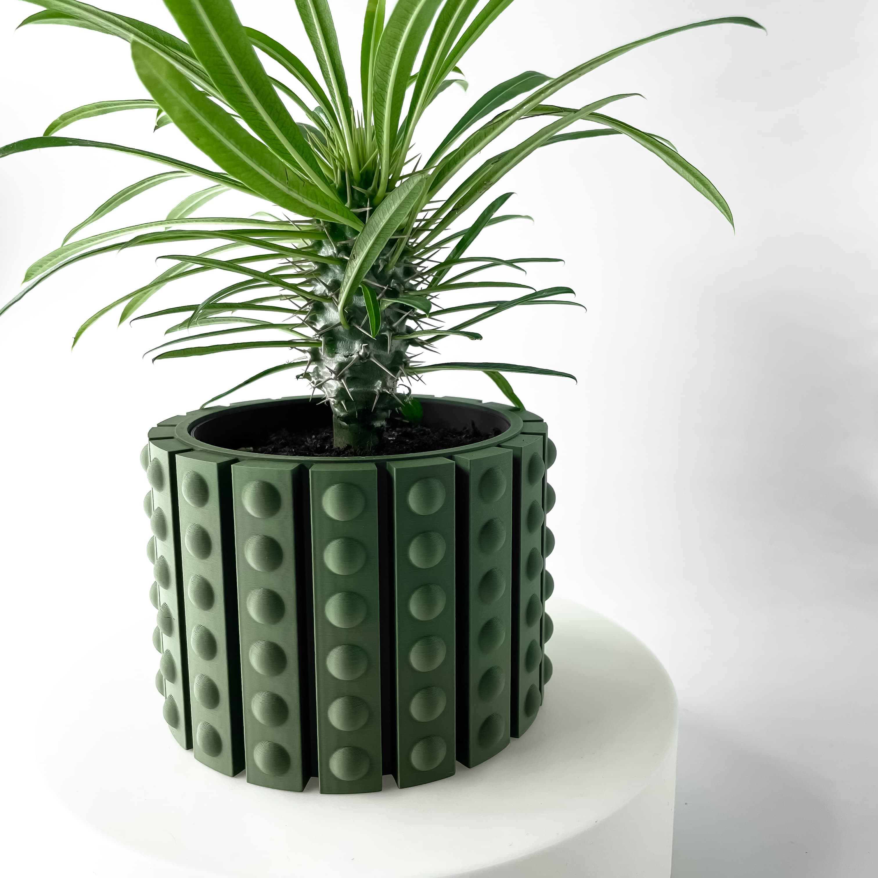 The Belio Planter Pot With Drainage: Tray & Stand Included