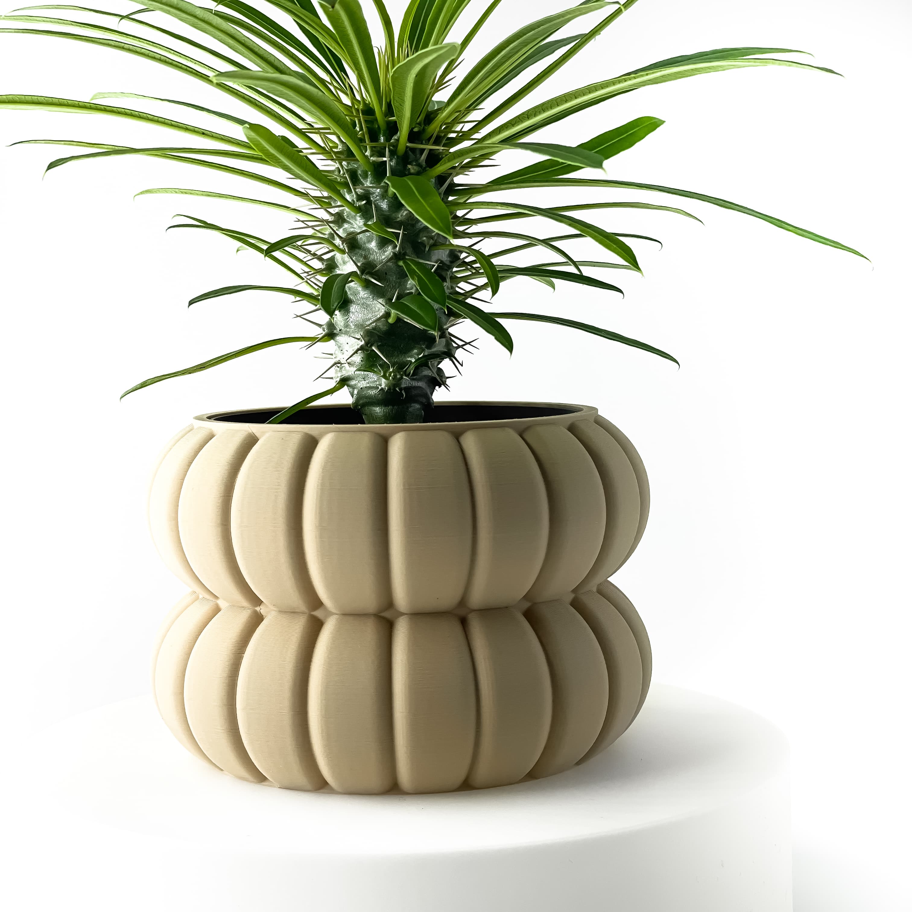 The Yanor Planter Pot With Drainage: Tray & Stand Included
