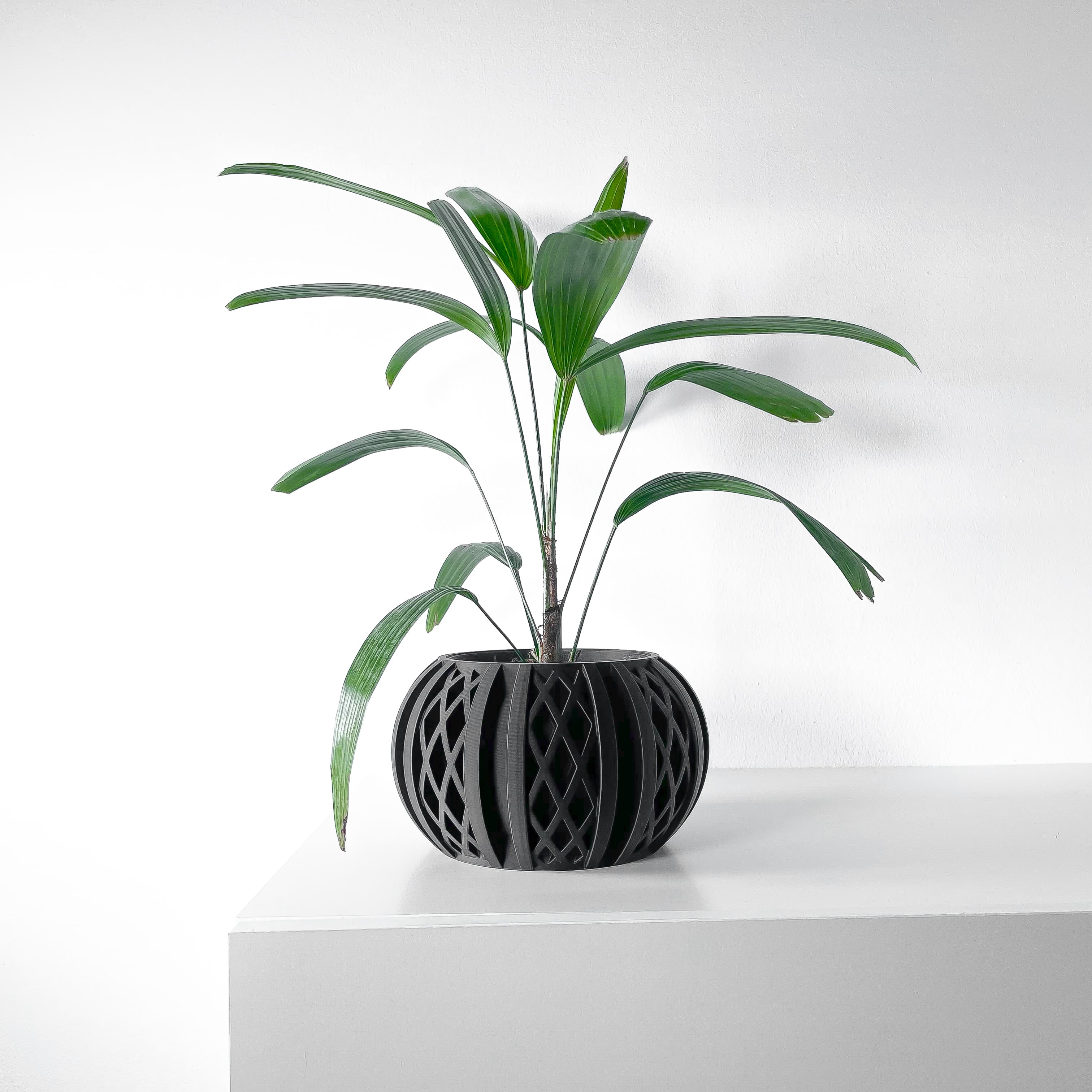 The Quivon Planter Pot With Drainage Tray & Stand Included