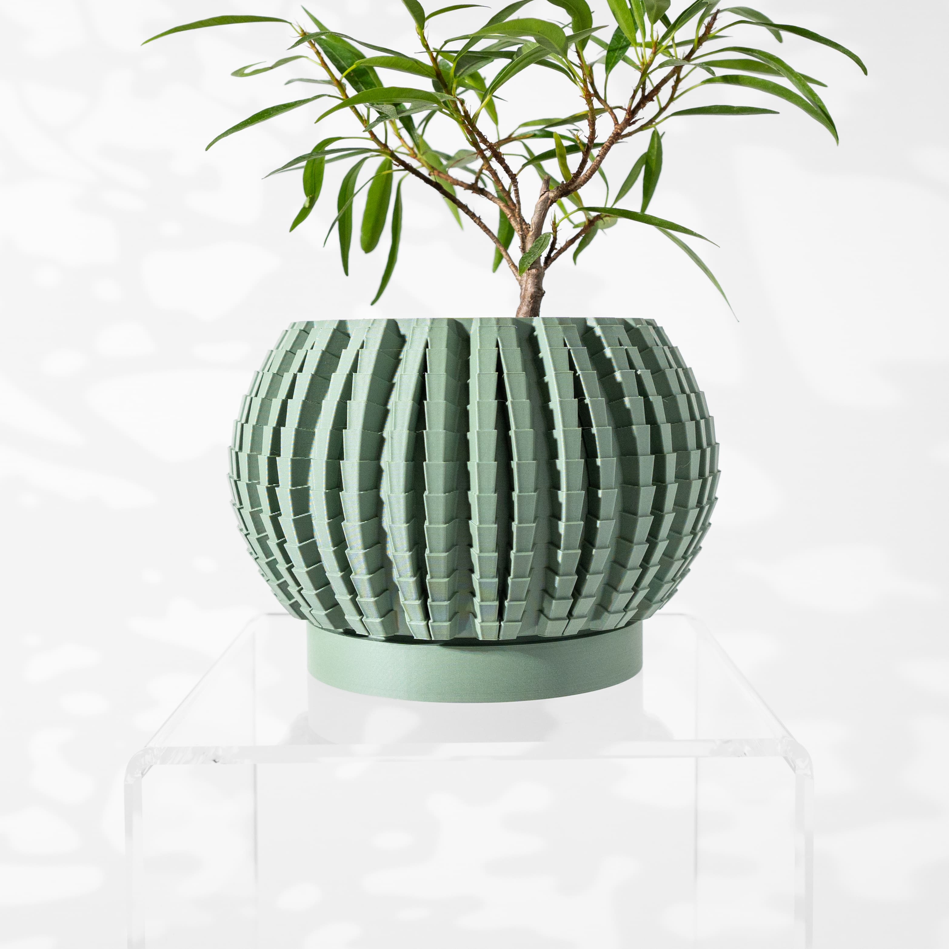 The Uralo Planter Pot With Drainage Tray & Stand