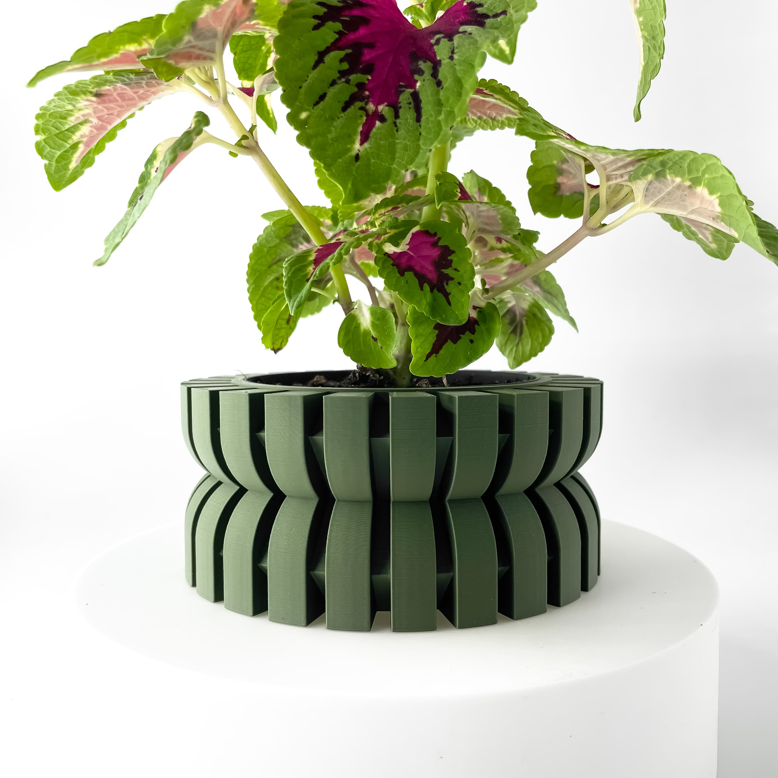 The Griva Planter Pot With Drainage Tray & Stand Included