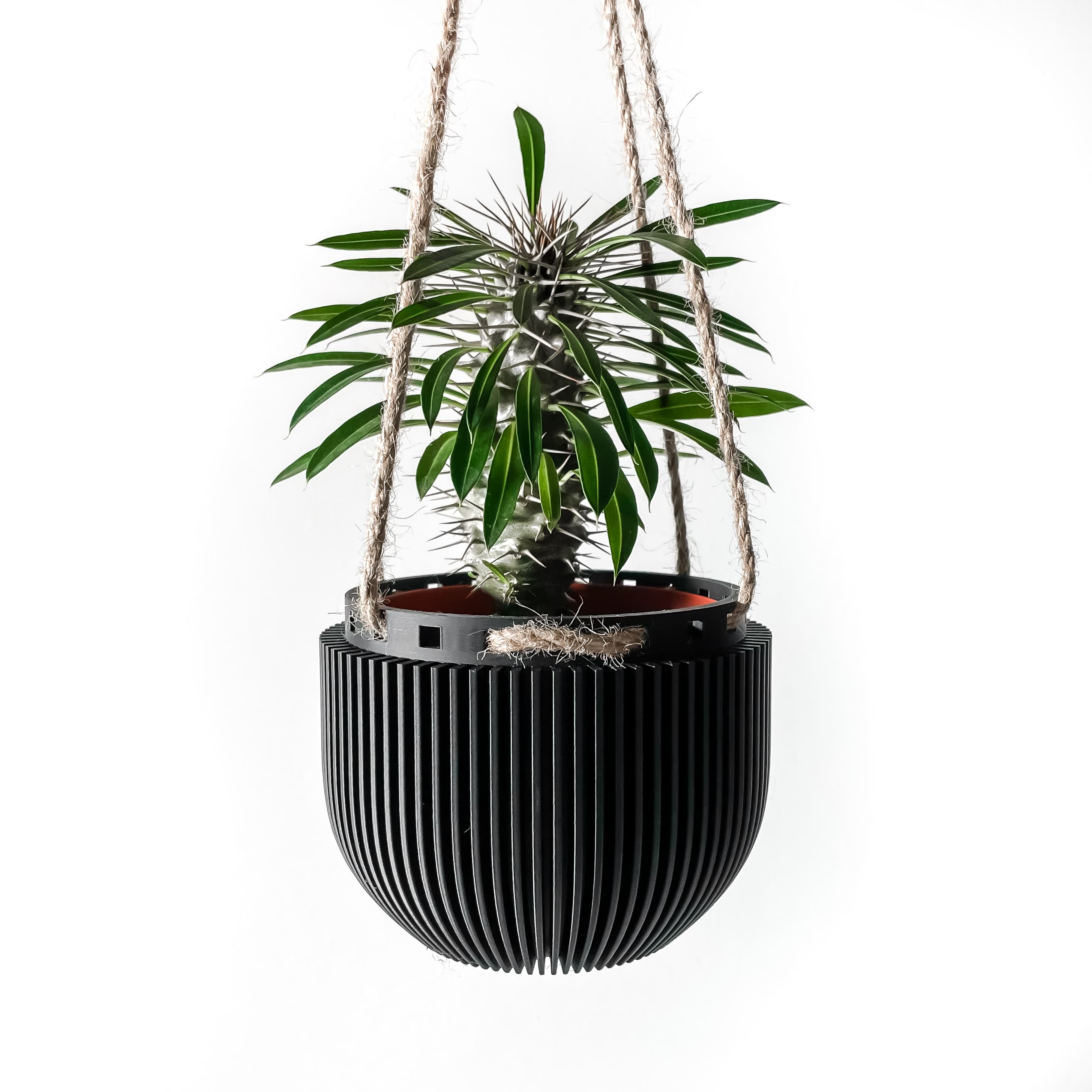 The Jani Hanging Planter Pot