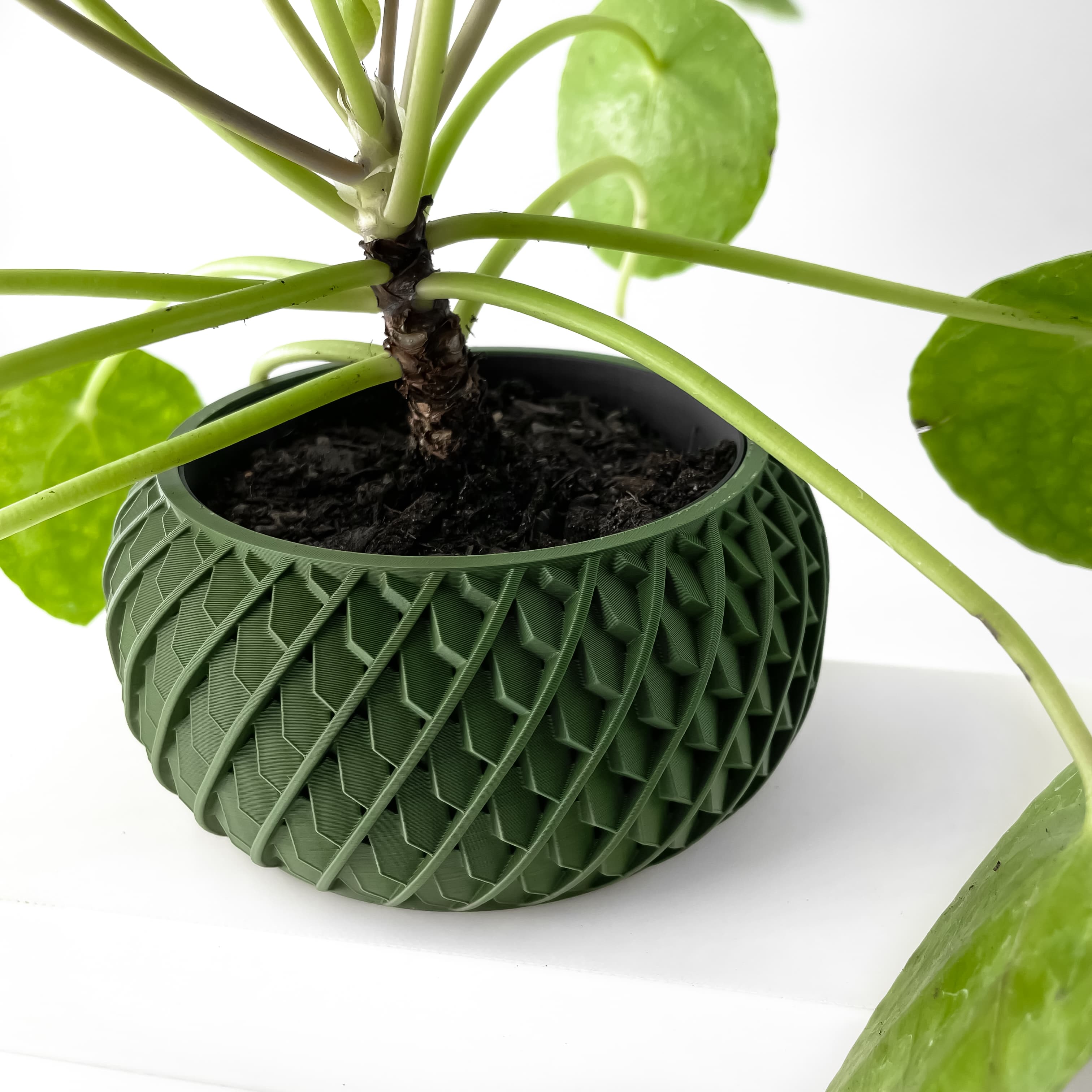 The Evlar Planter Pot With Drainage Tray & Stand Included