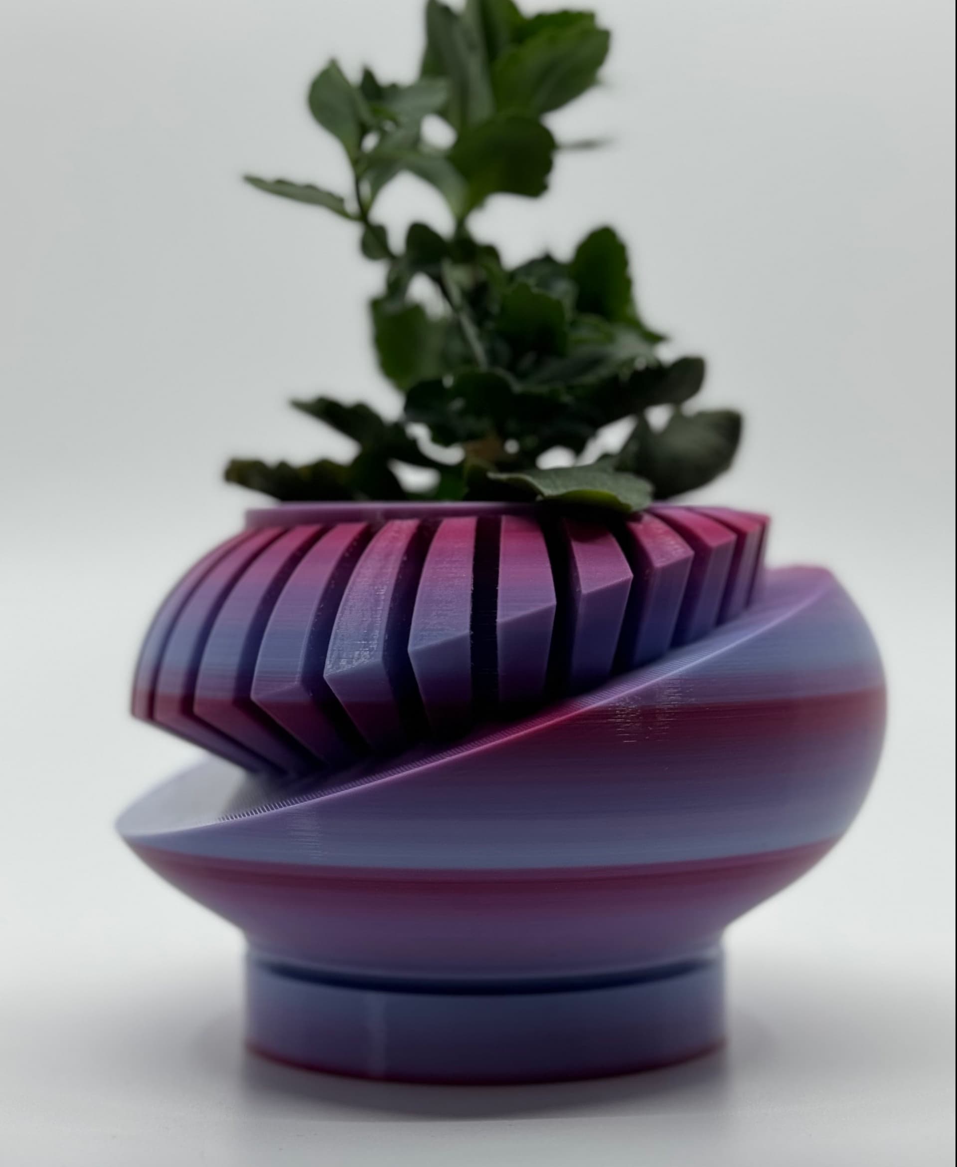 The Luxar Planter Pot With Drainage Tray & Stand Included