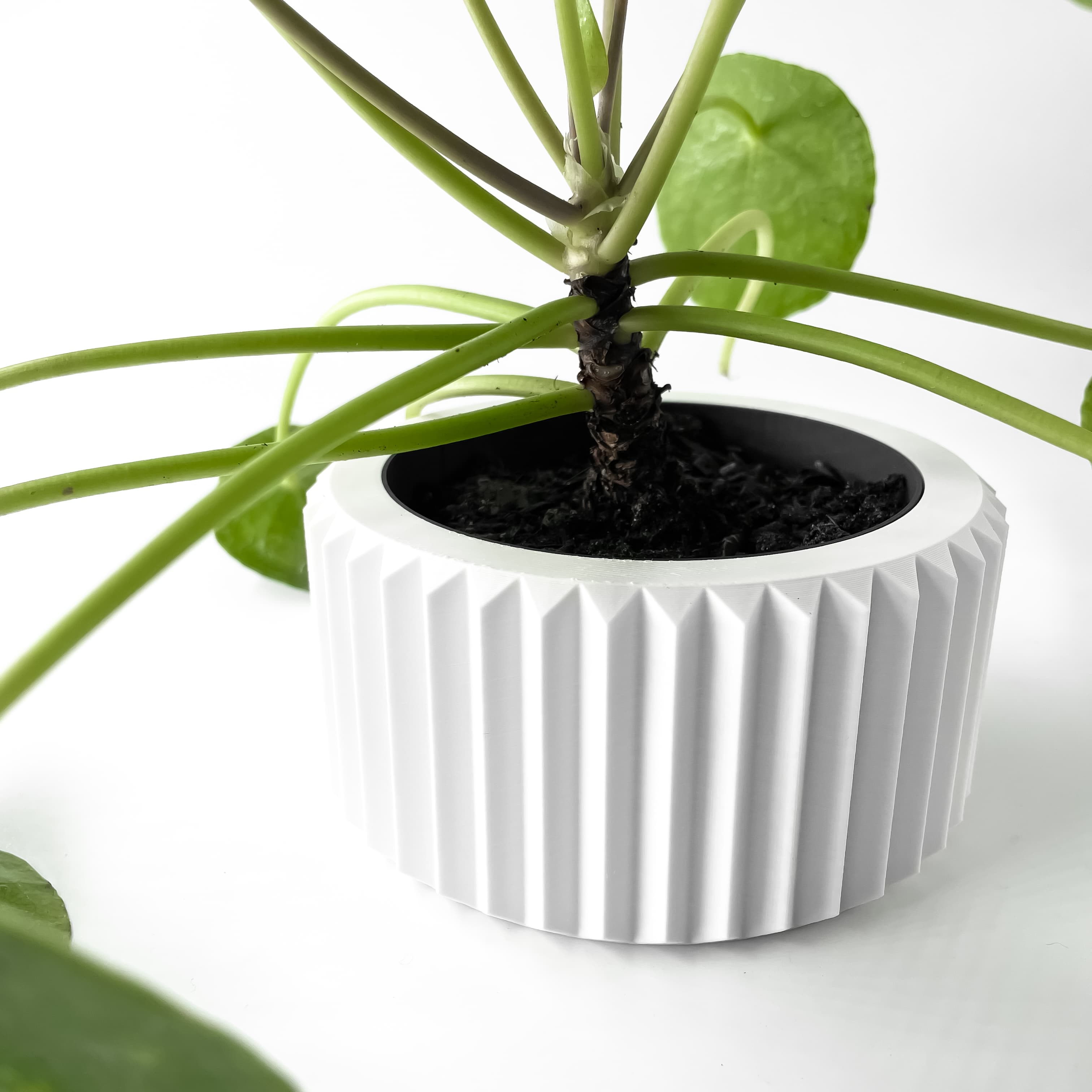 The Rilas Planter Pot With Drainage Tray & Stand Included