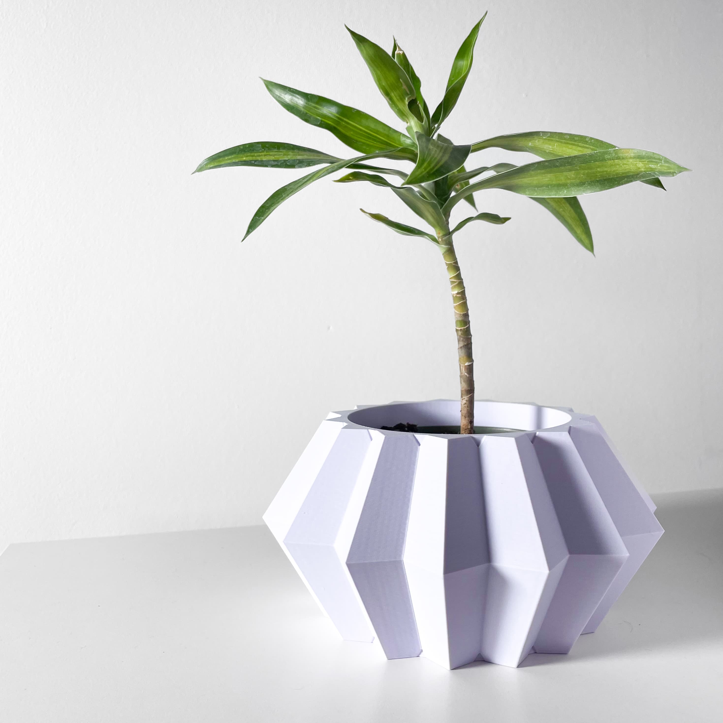 The Jun Planter Pot With Drainage Tray & Stand