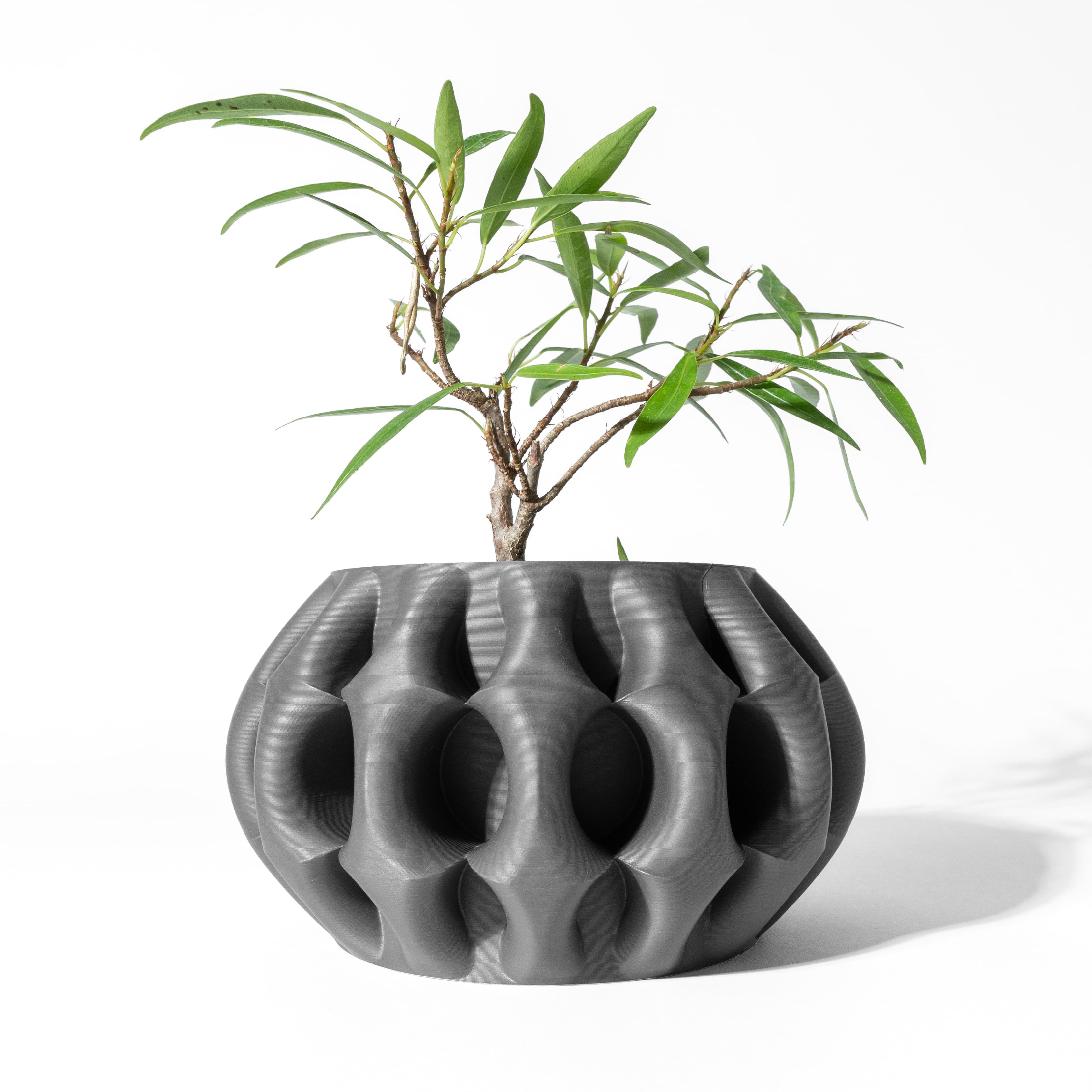 The Xiomu Planter Pot With Drainage Tray & Stand