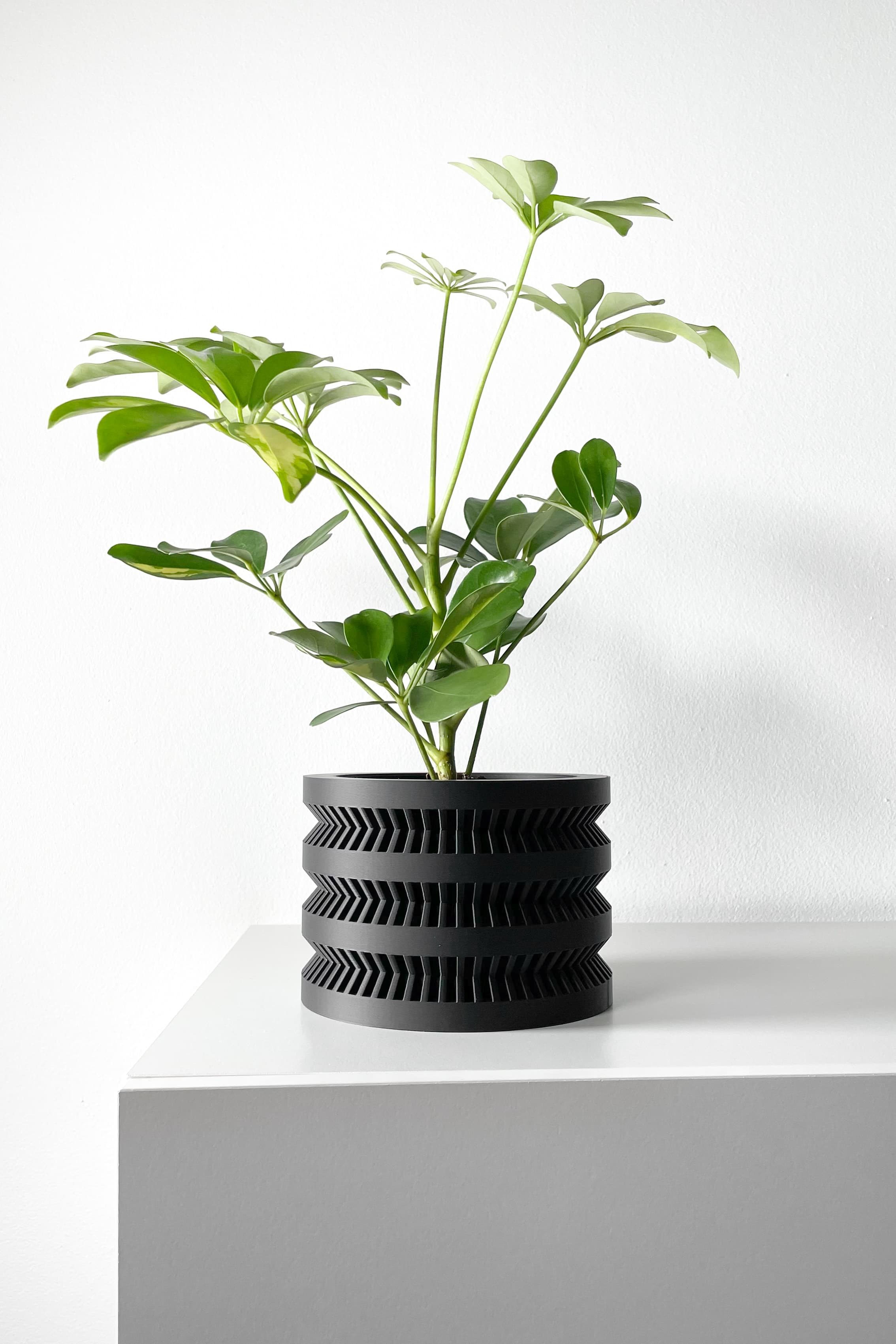 The Civen Planter Pot With Drainage Tray & Stand Included
