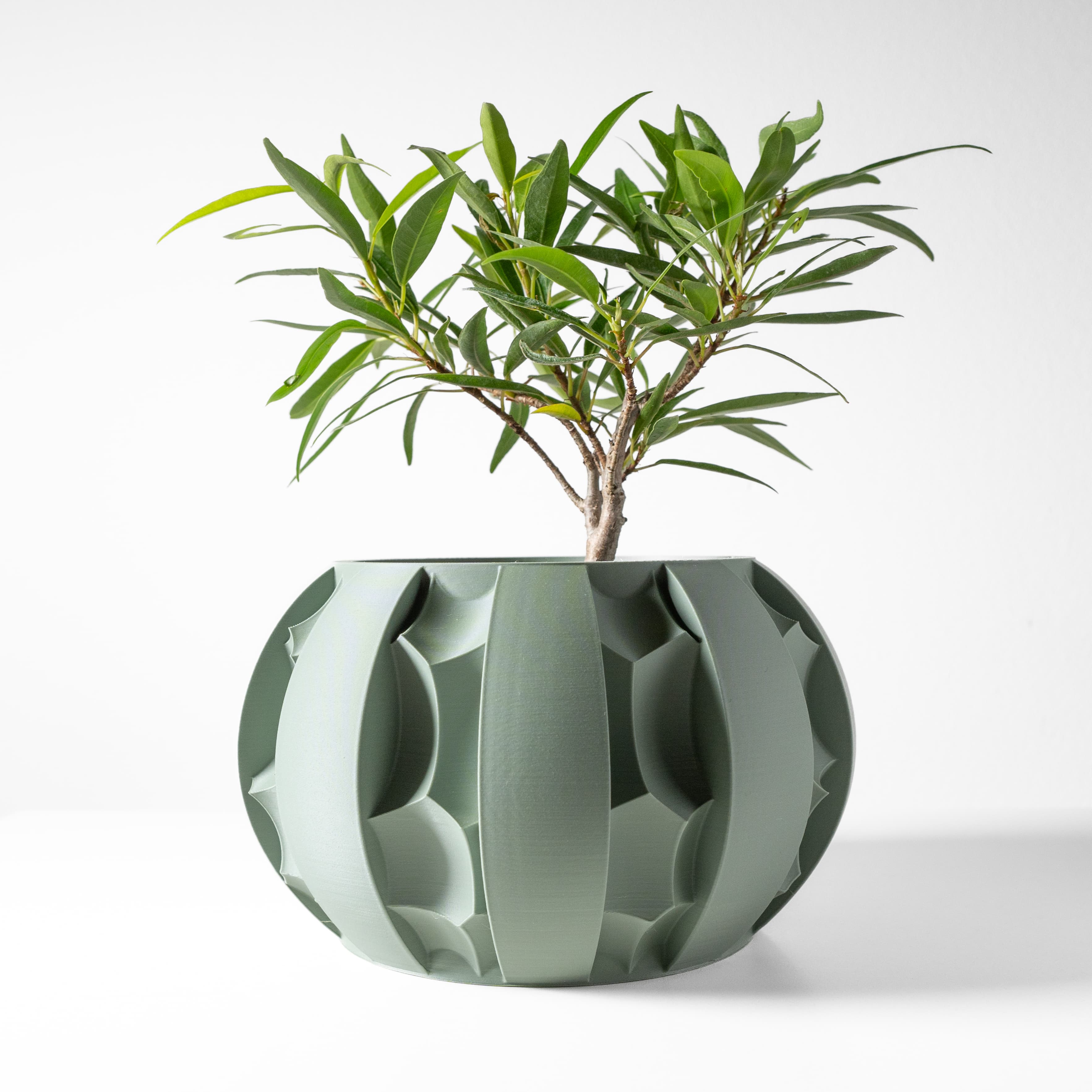The Erna Planter Pot With Drainage Tray & Stand