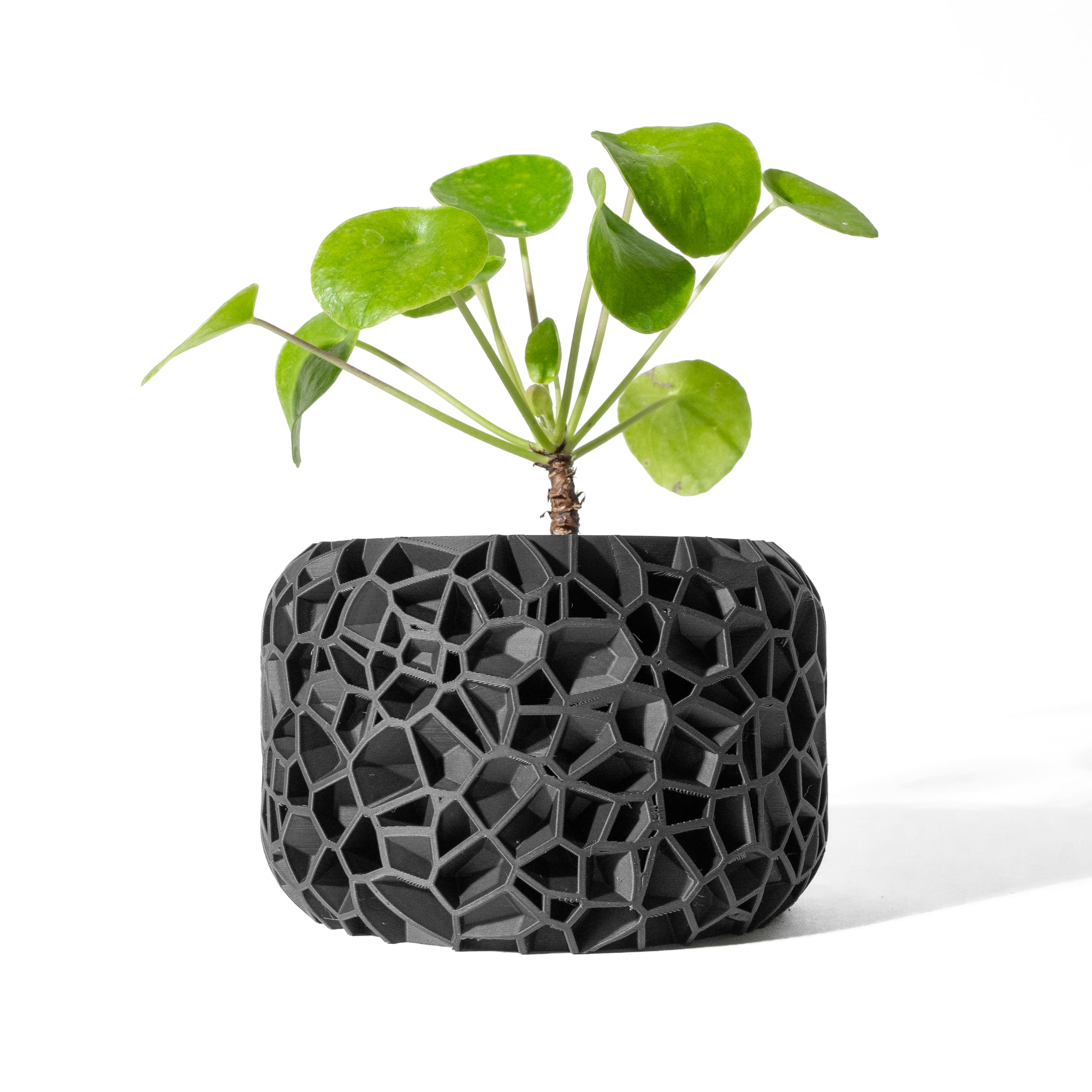The Vori Planter Pot With Drainage Tray & Stand