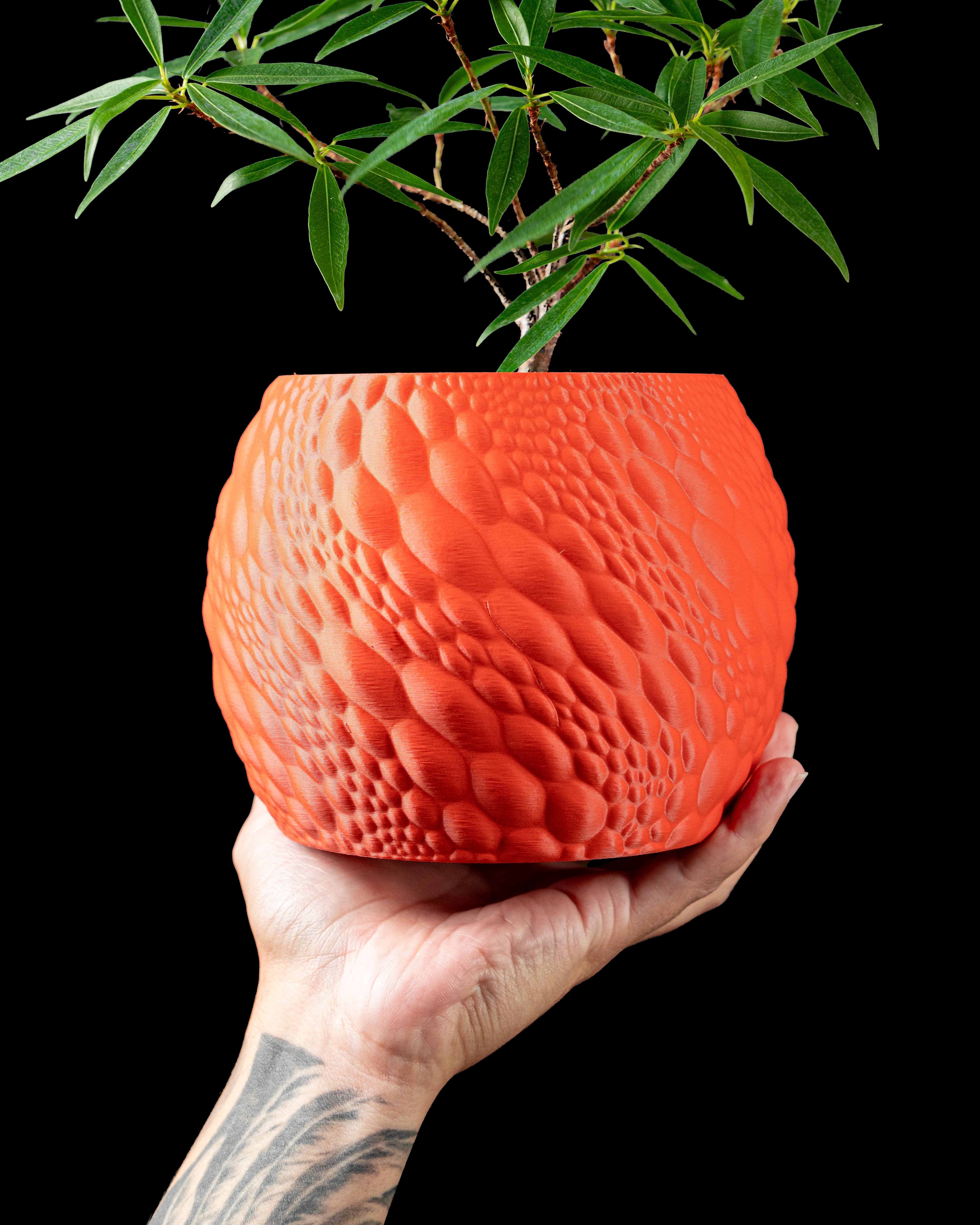 Gato Planter Pot