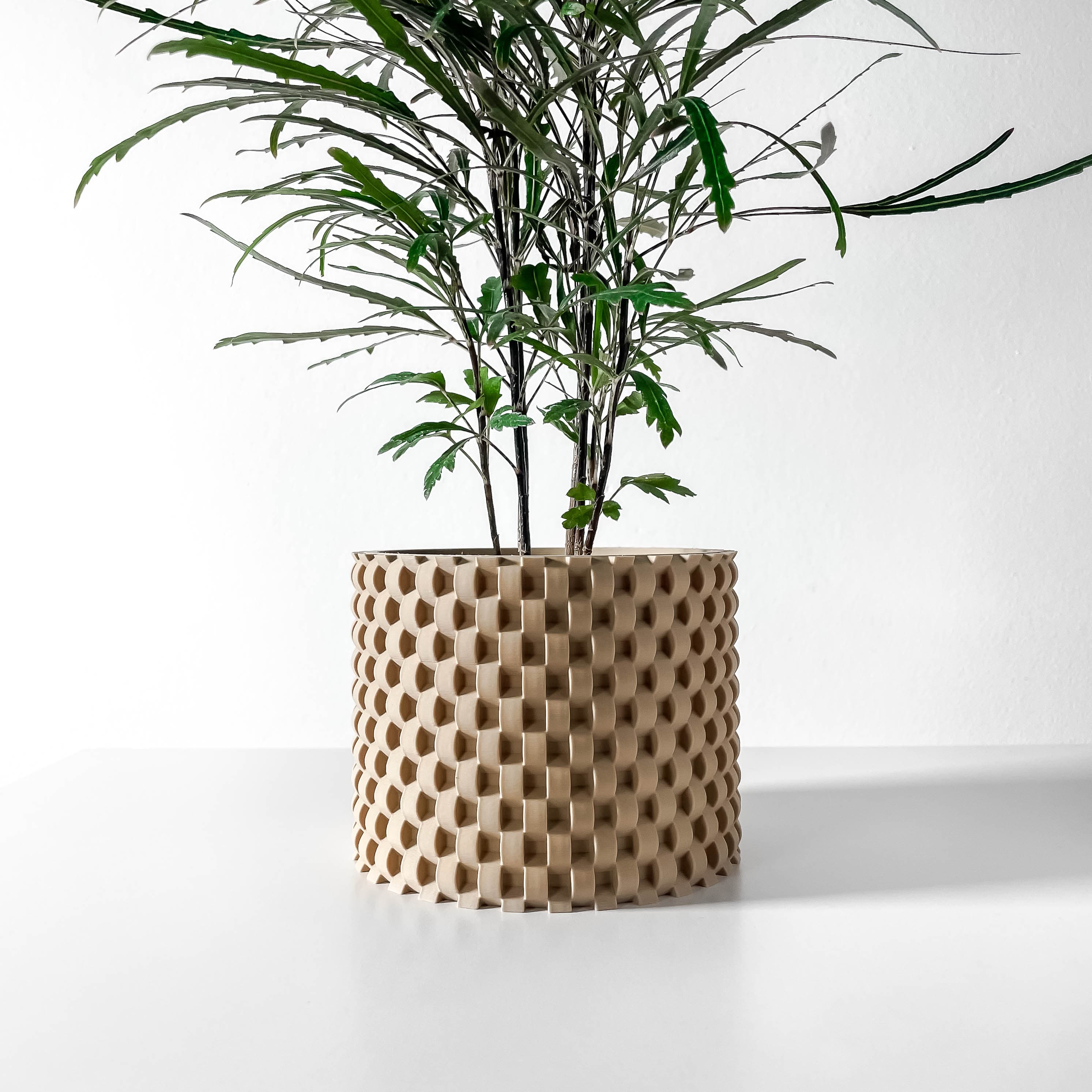 The Cheo Planter Pot With Drainage Tray & Stand