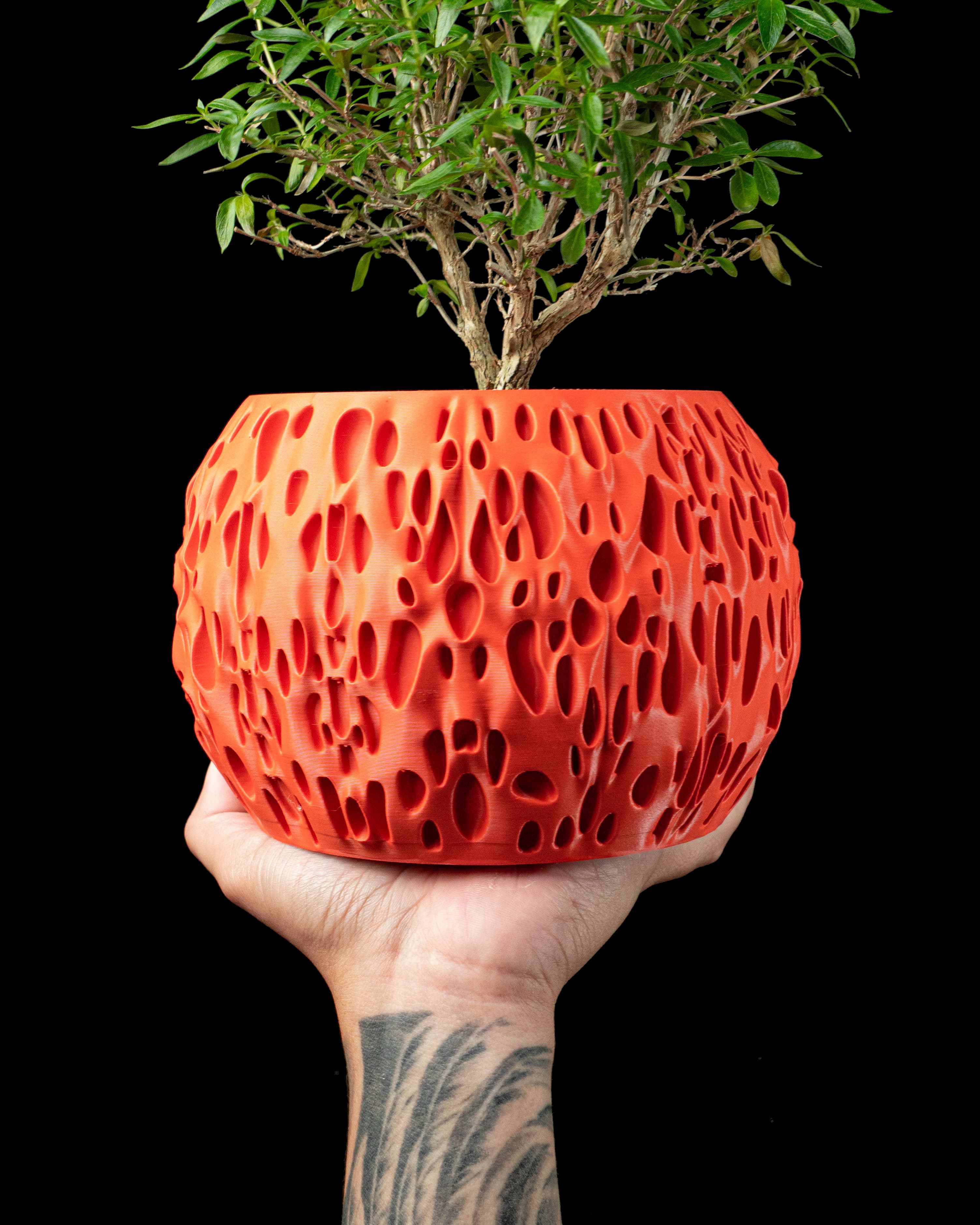 Spotted Planter Pot