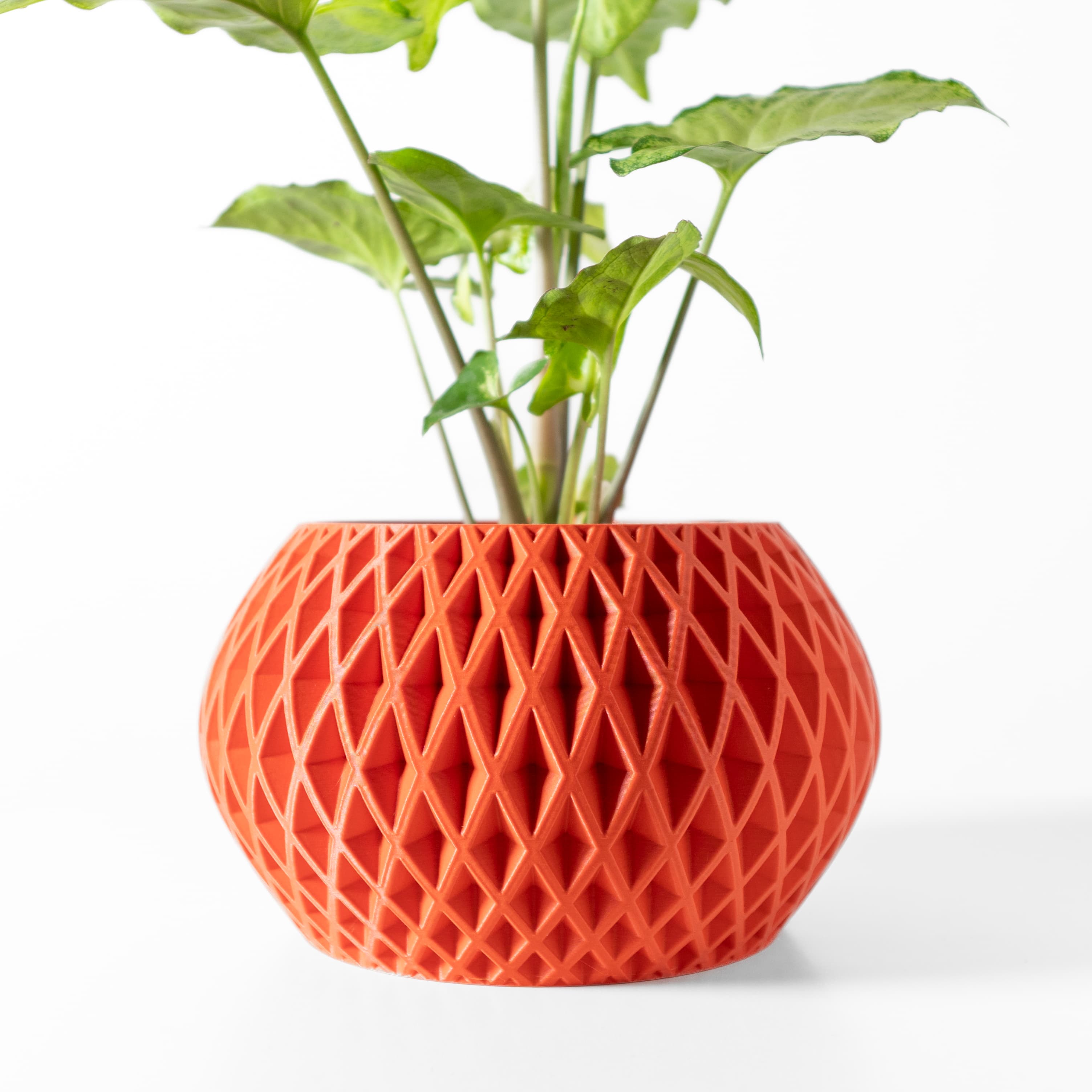 The Gisar Planter Pot With Drainage Tray & Stand