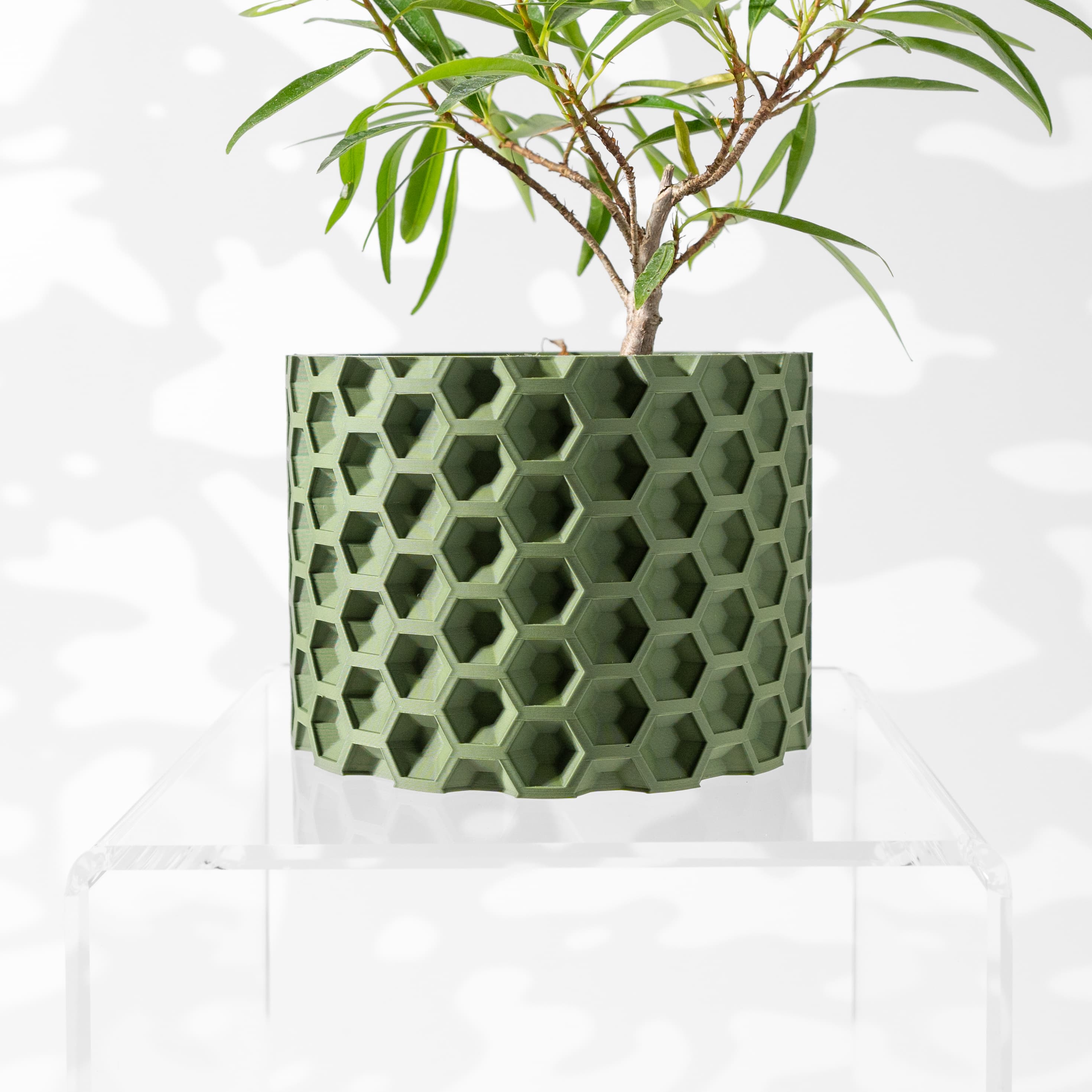 The Armos Planter Pot With Drainage Tray & Stand