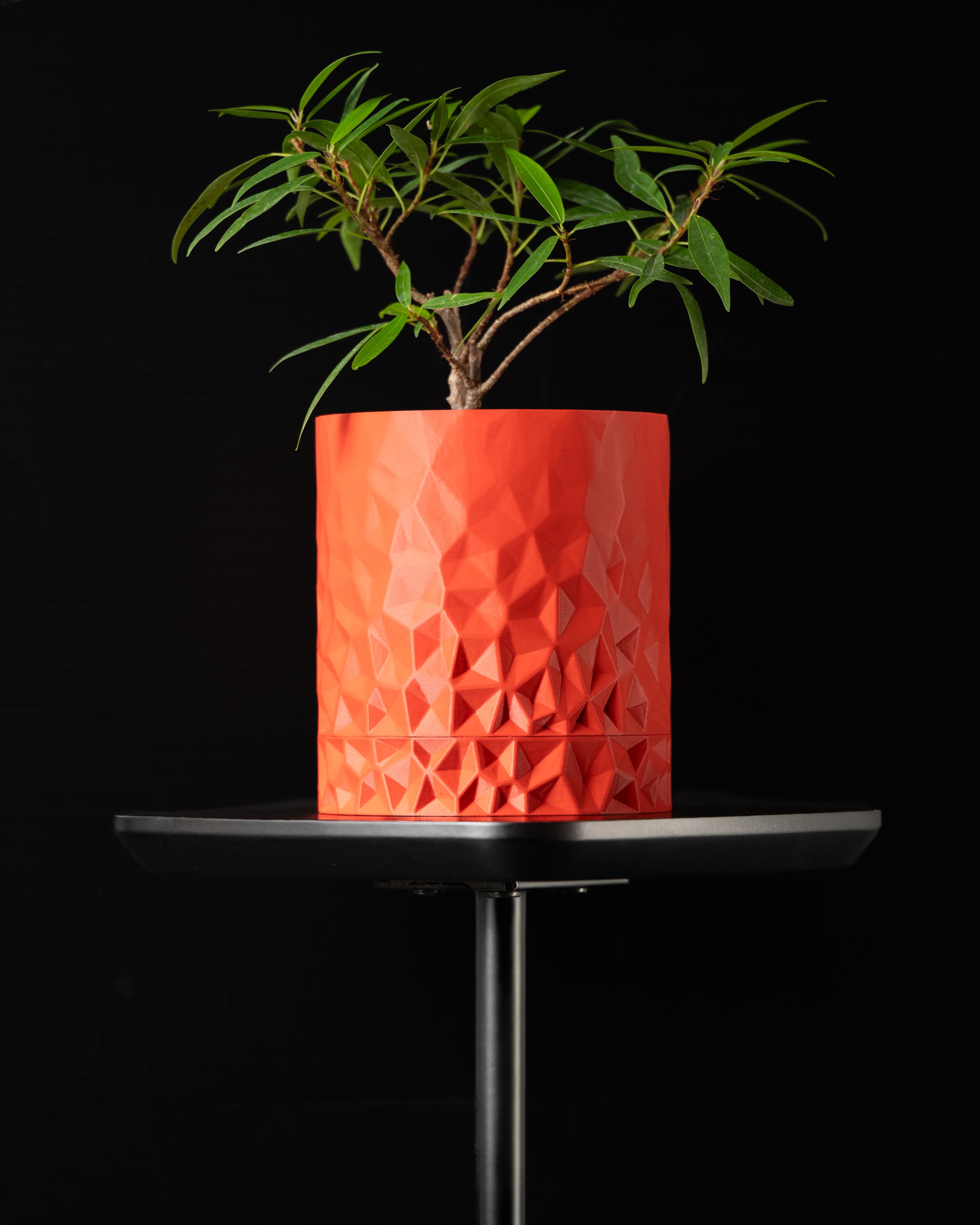 Voronoi Planter W/Wall Attachment