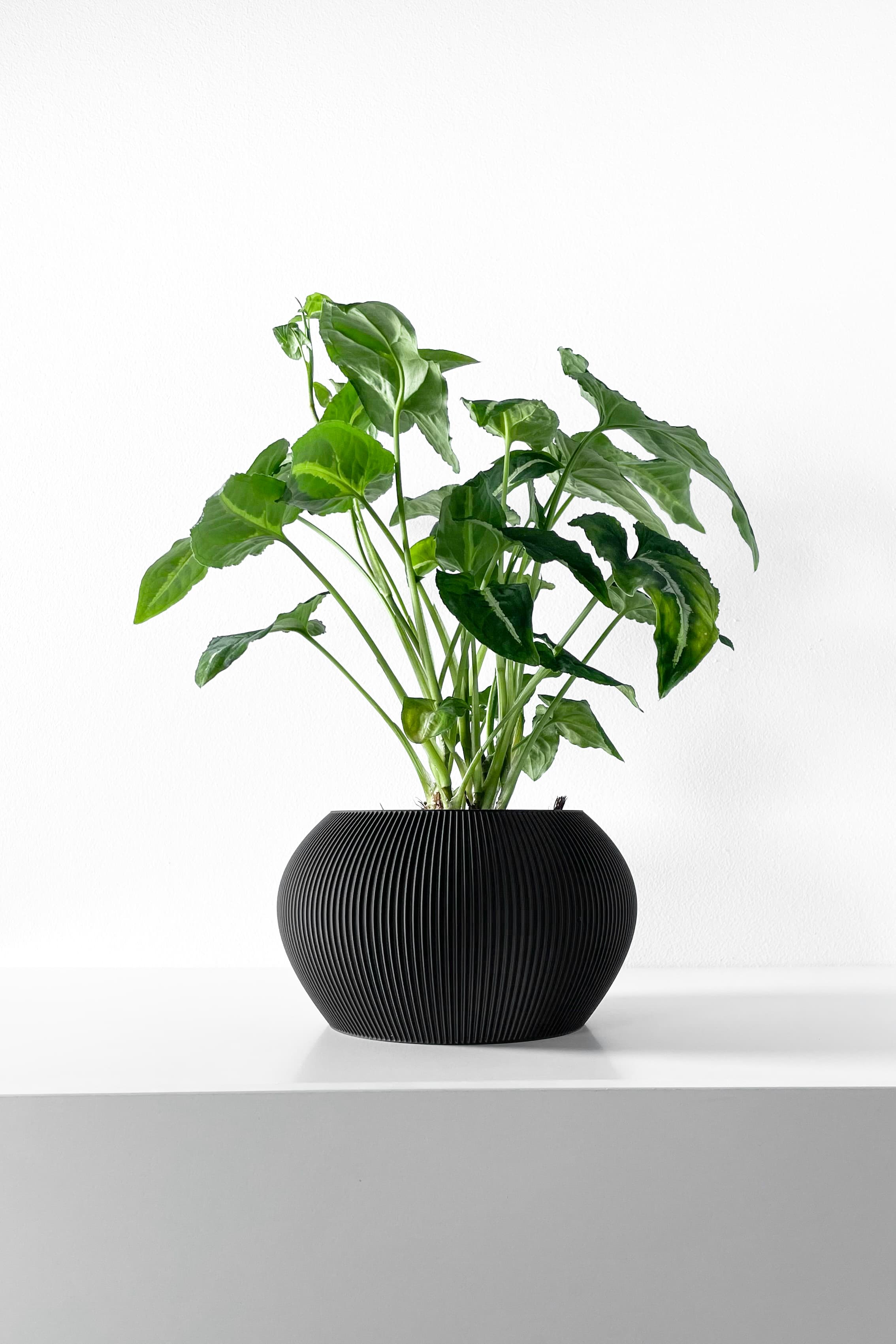 The Melfi Planter Pot With Drainage Tray & Stand Included