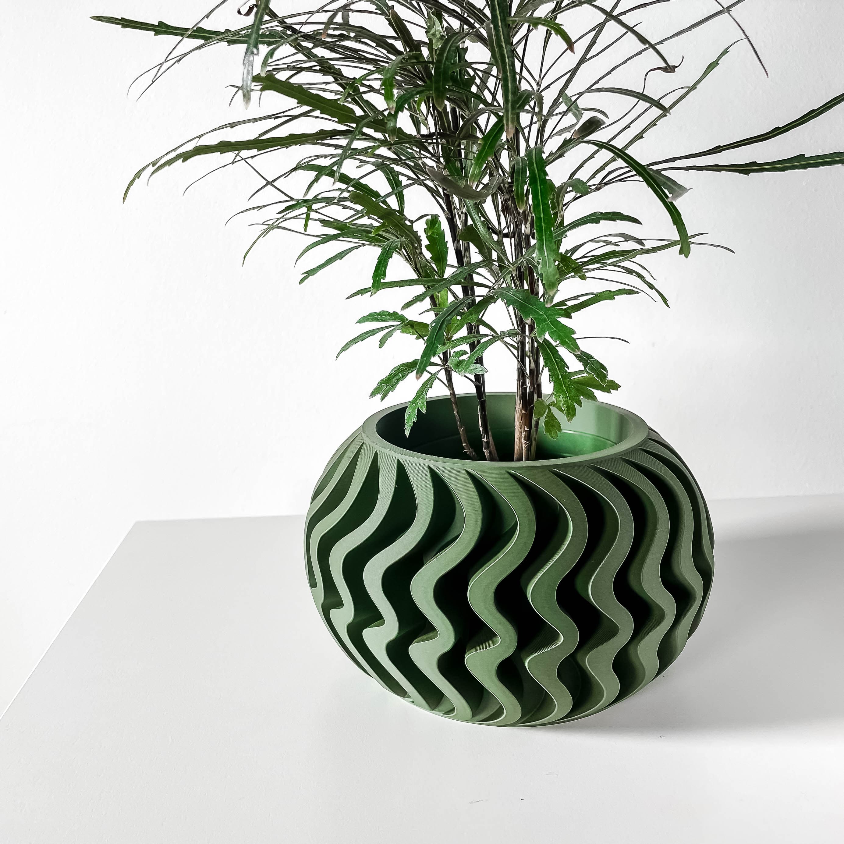 The Noli Planter Pot With Drainage