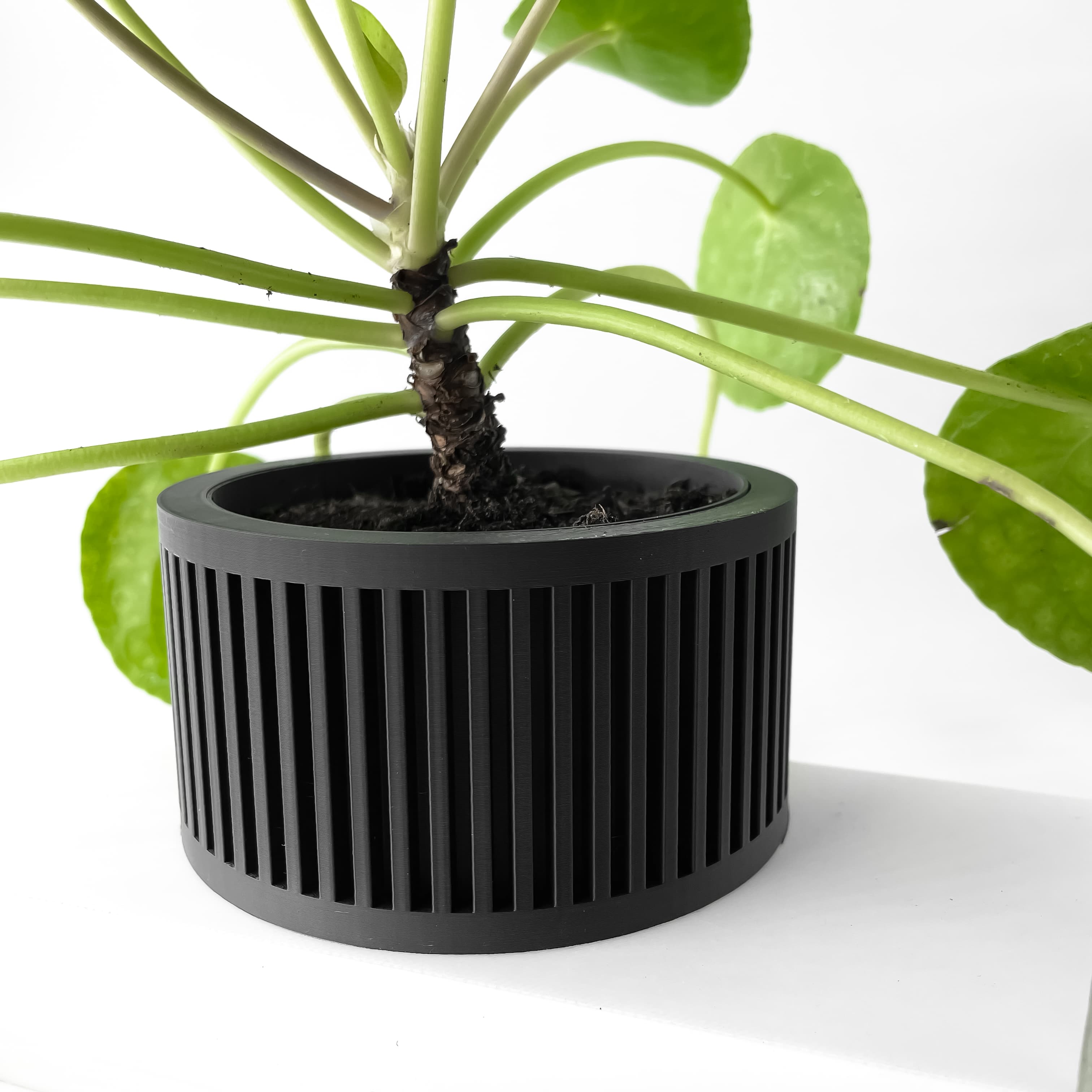 The Paxon Planter Pot With Drainage Tray & Stand Included