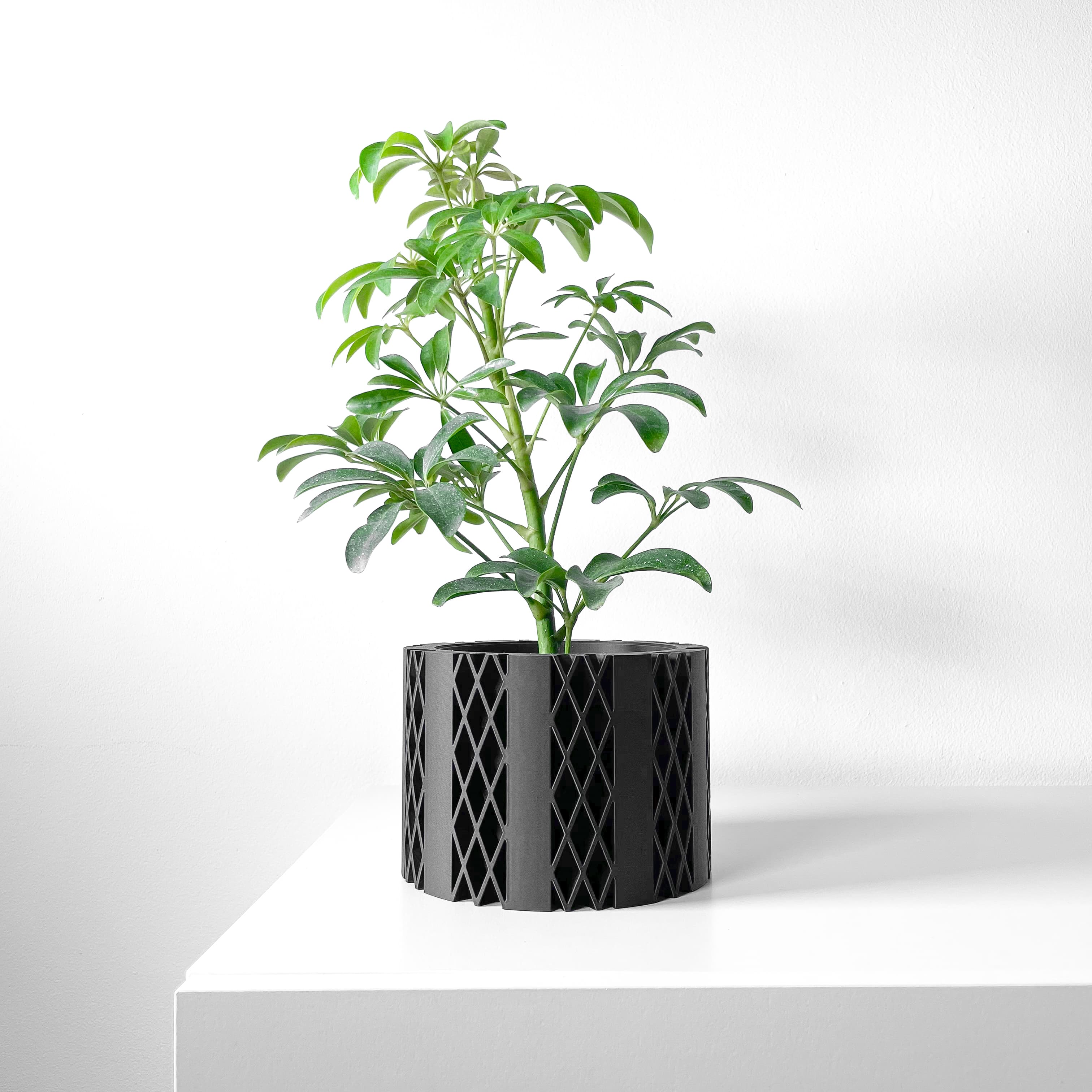 The Arven Planter Pot With Drainage Tray & Stand Included