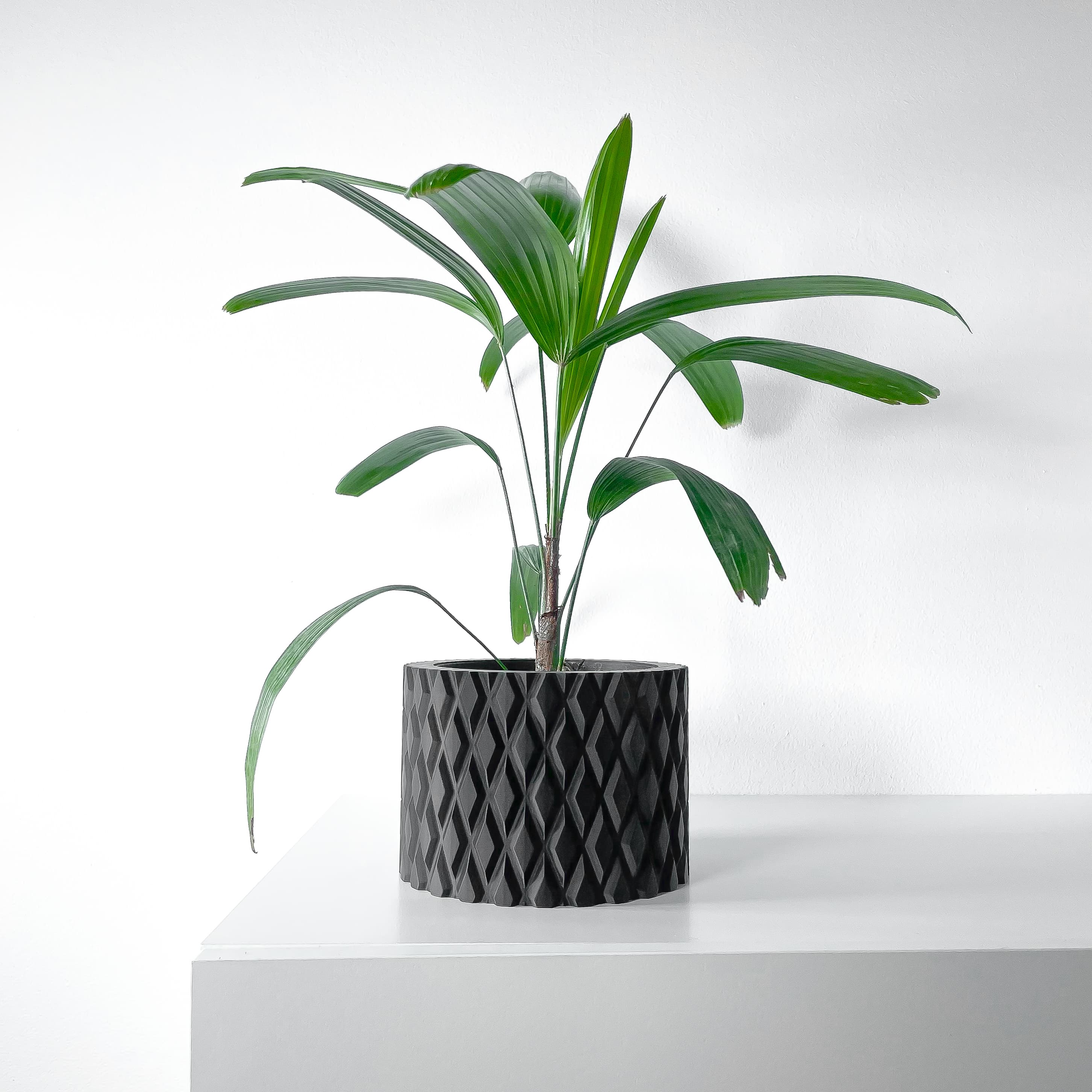 The Pexil Planter Pot With Drainage Tray & Stand Included