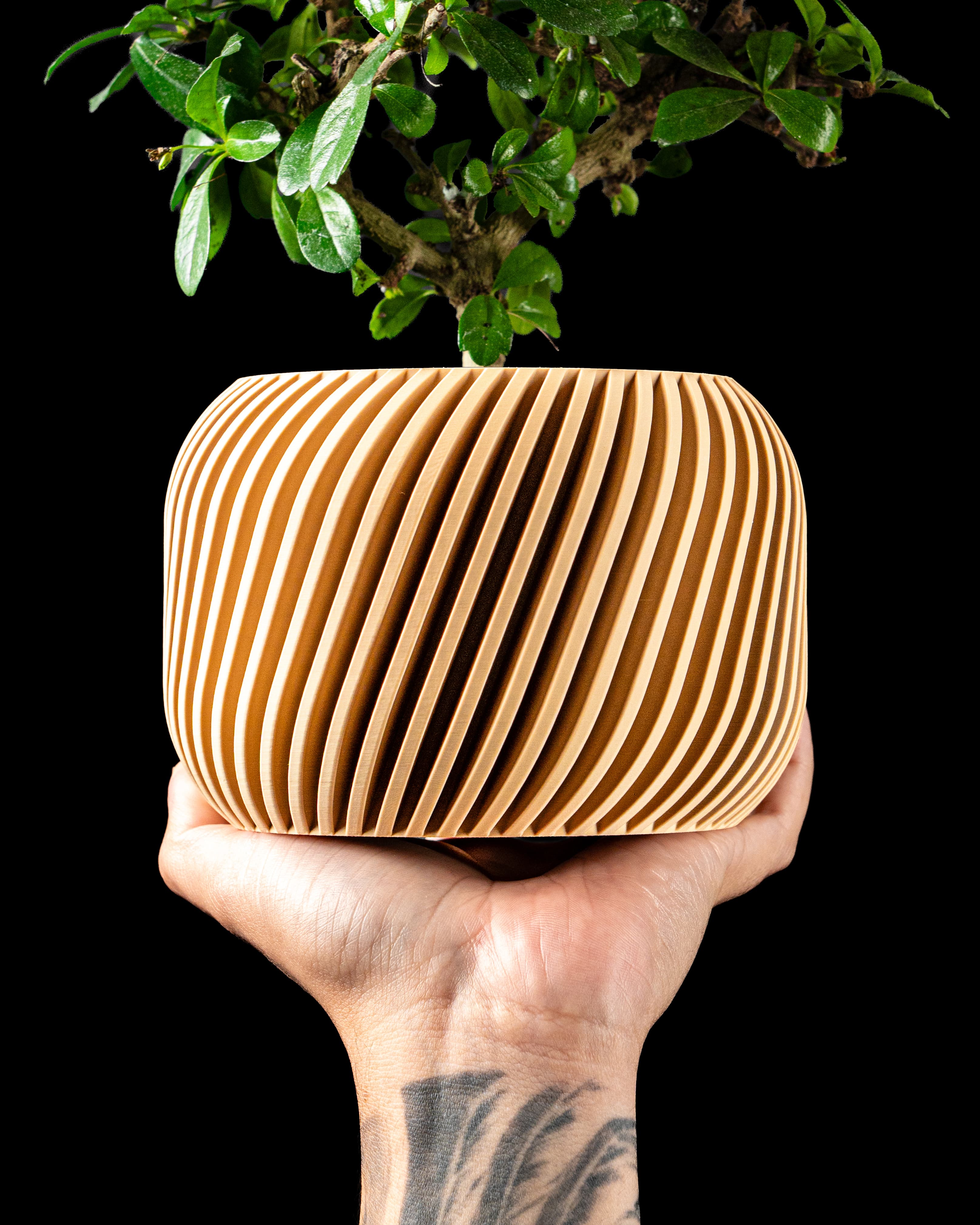 Planter Pot 005