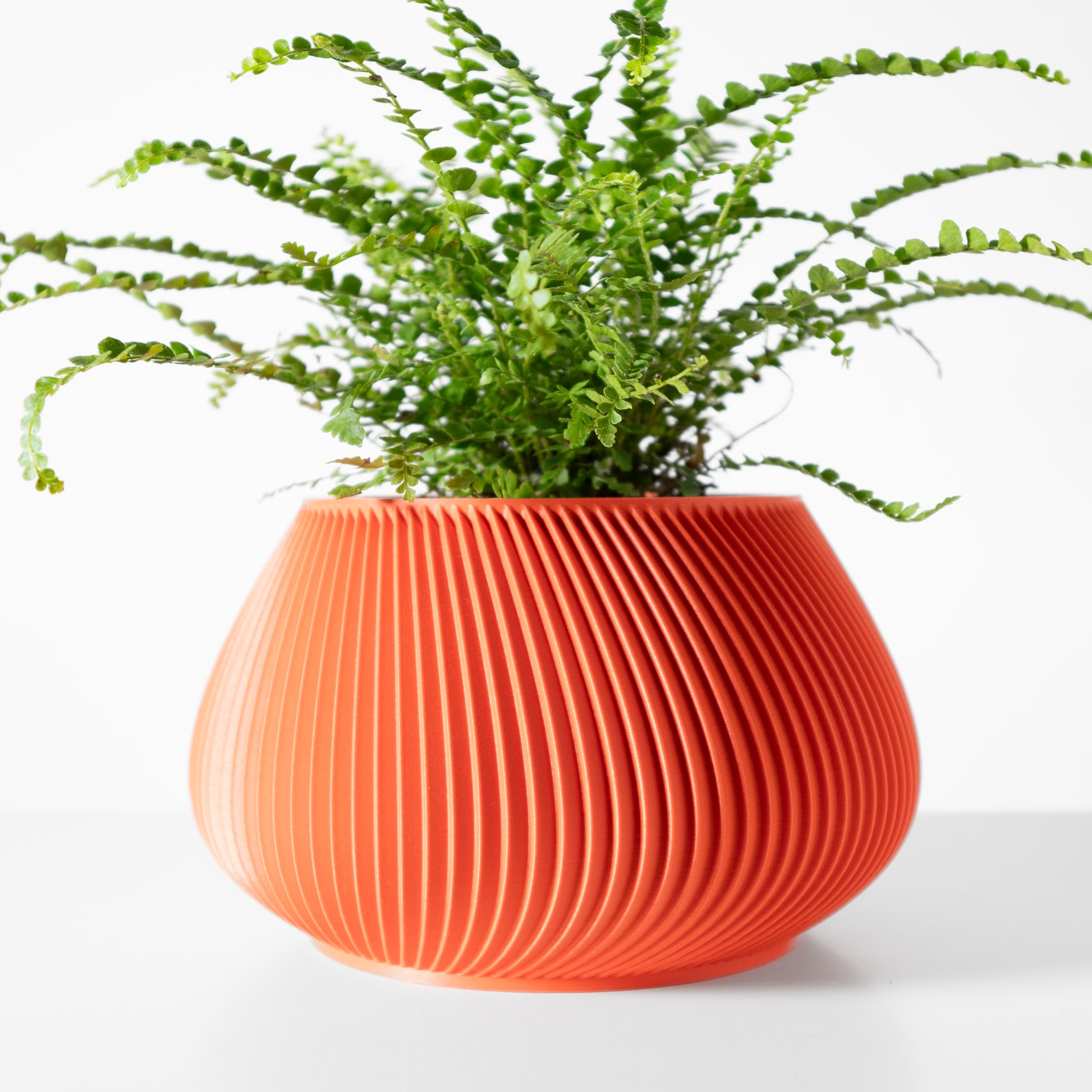 The Davi Planter Pot With Drainage Tray & Stand
