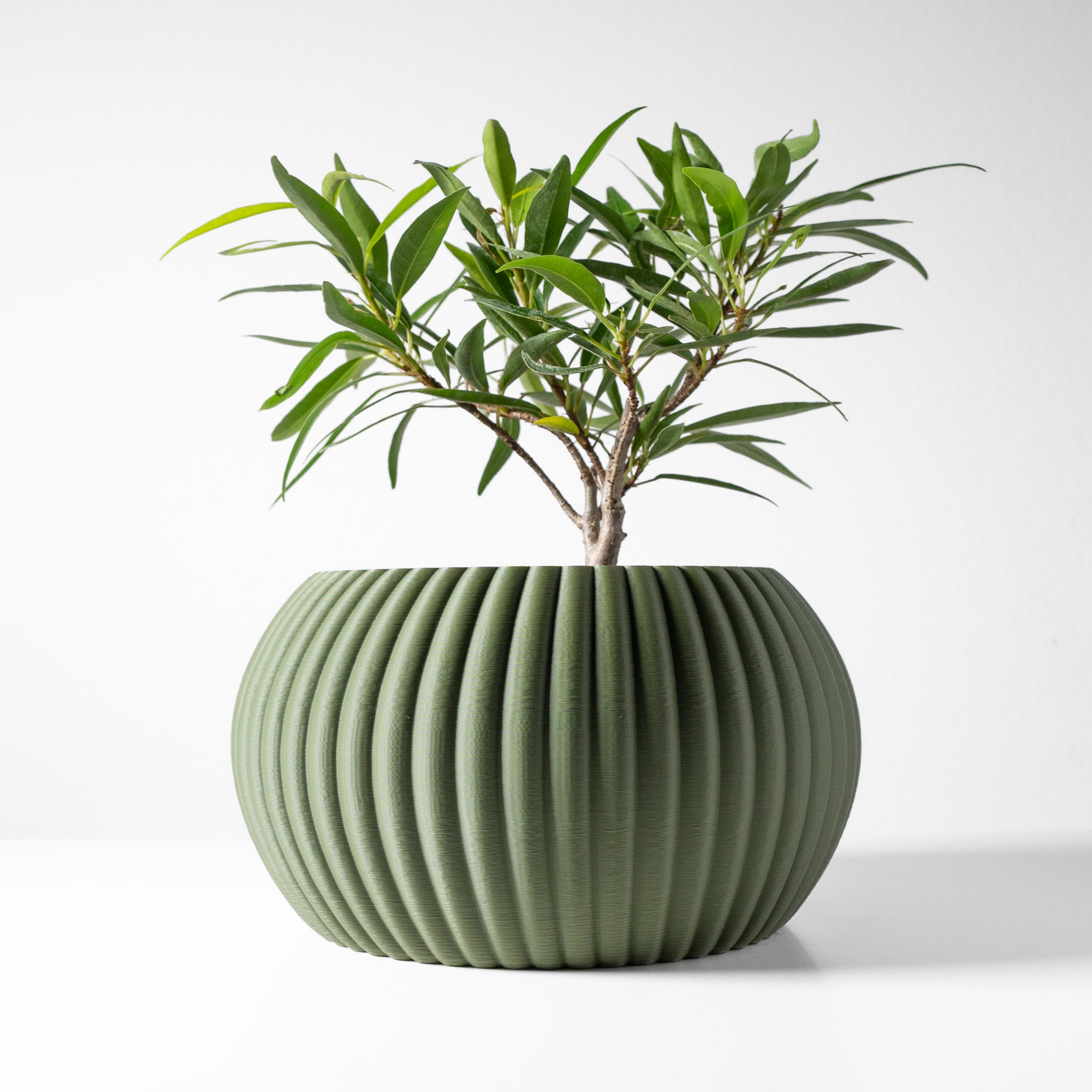 The Roni Planter Pot With Drainage Tray & Stand
