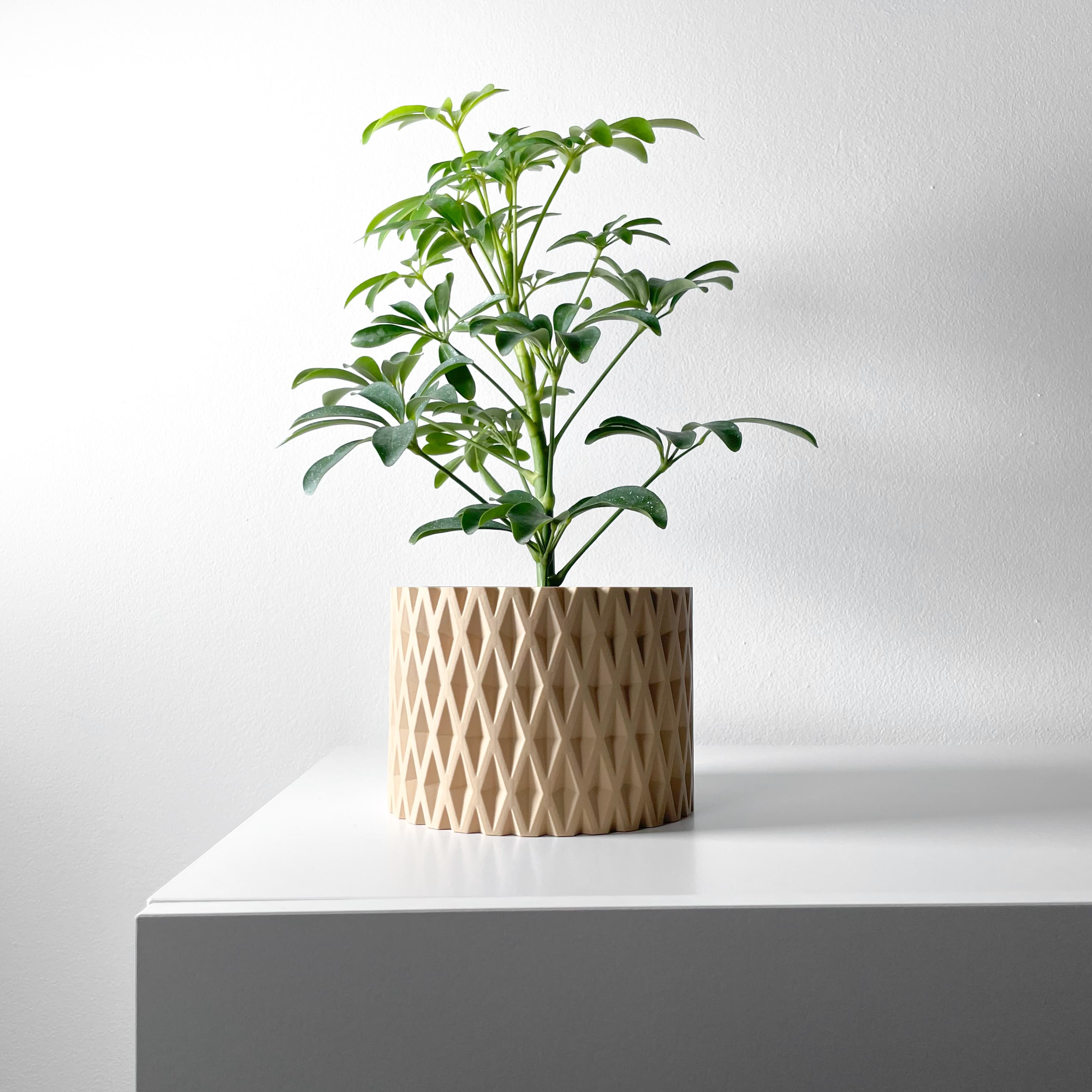 The Grivan Planter Pot With Drainage Tray & Stand Included