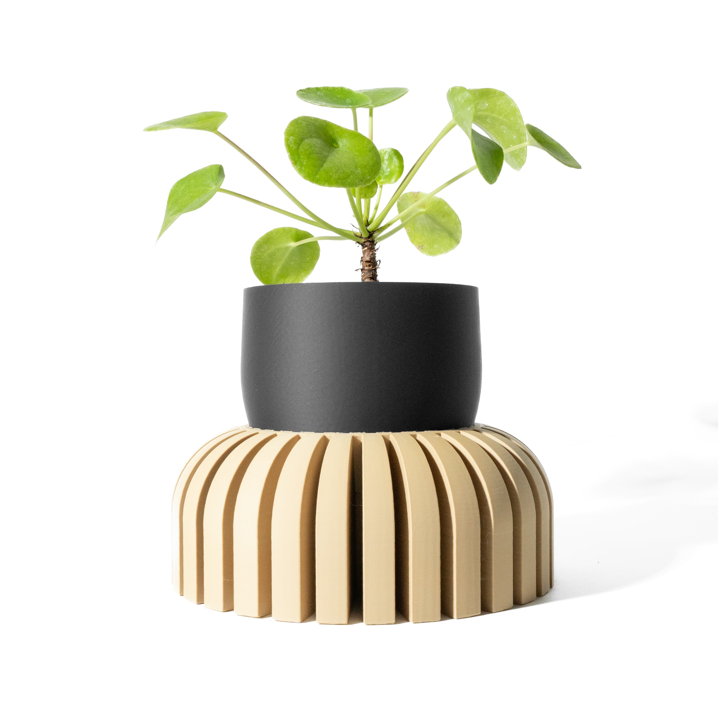The Karis Planter Pot With Drainage Tray & Stand